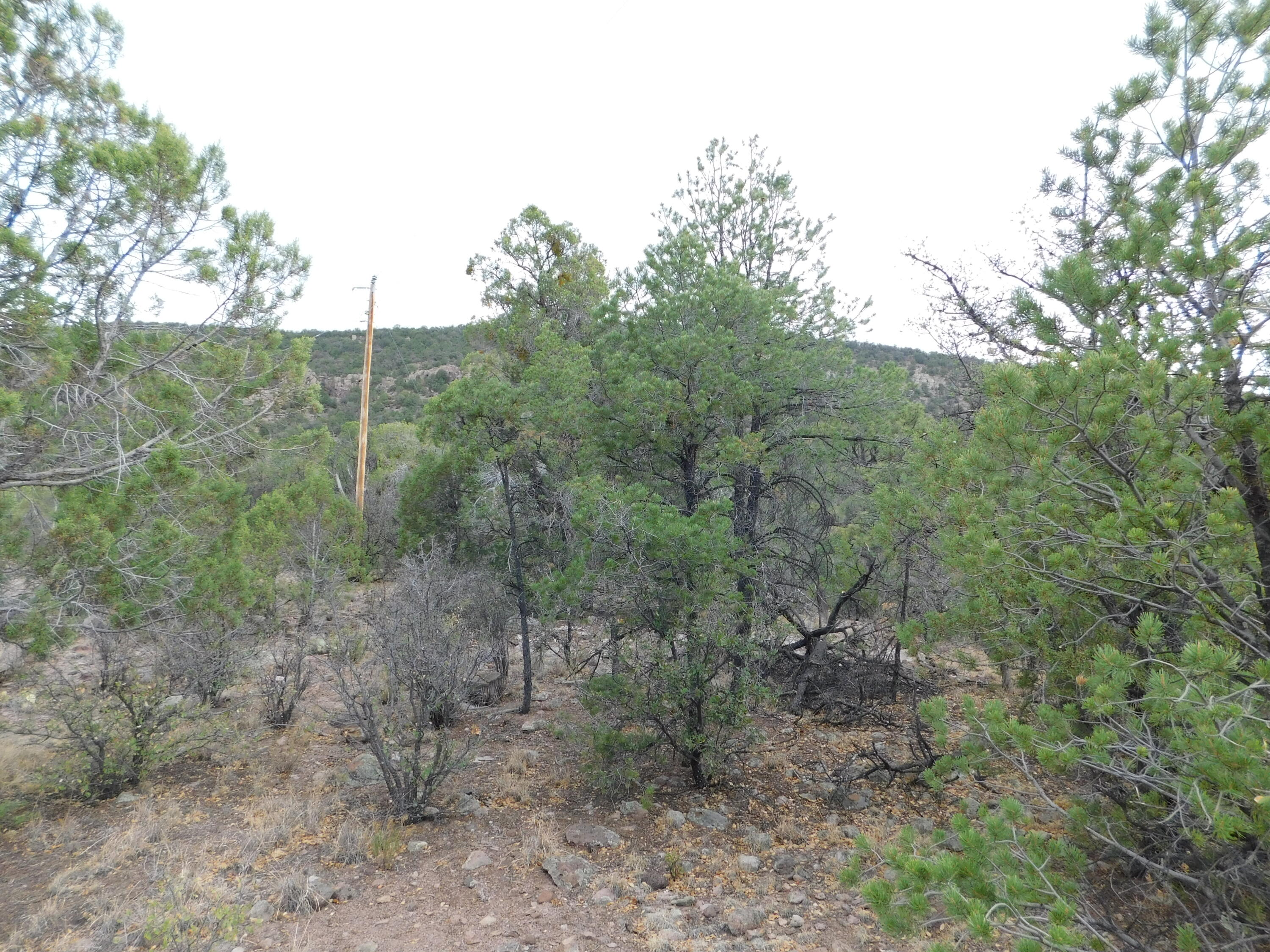 27 & 28 West Rivers Road, Reserve, New Mexico image 11