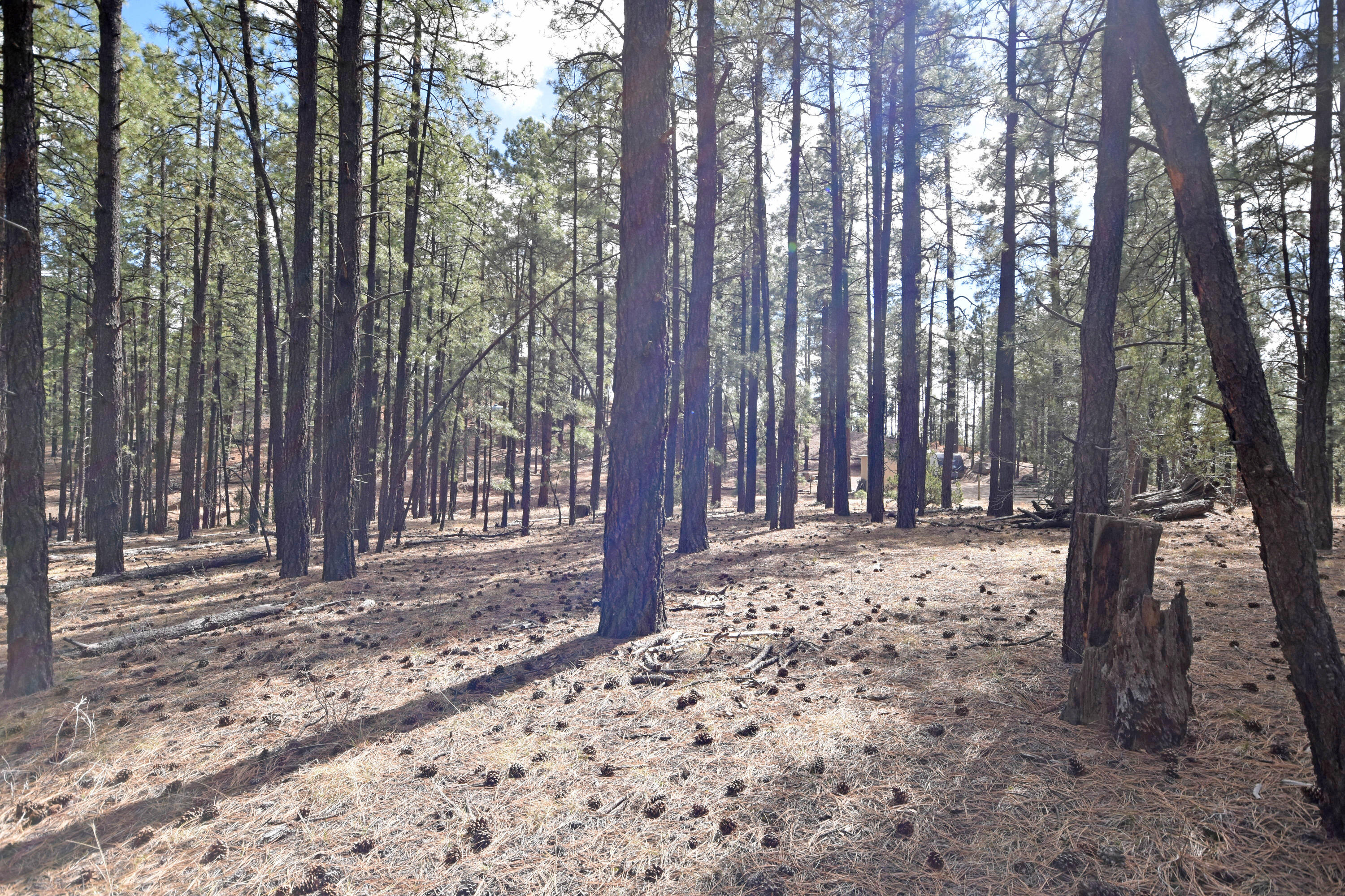 Lot 49 A Cool Pines