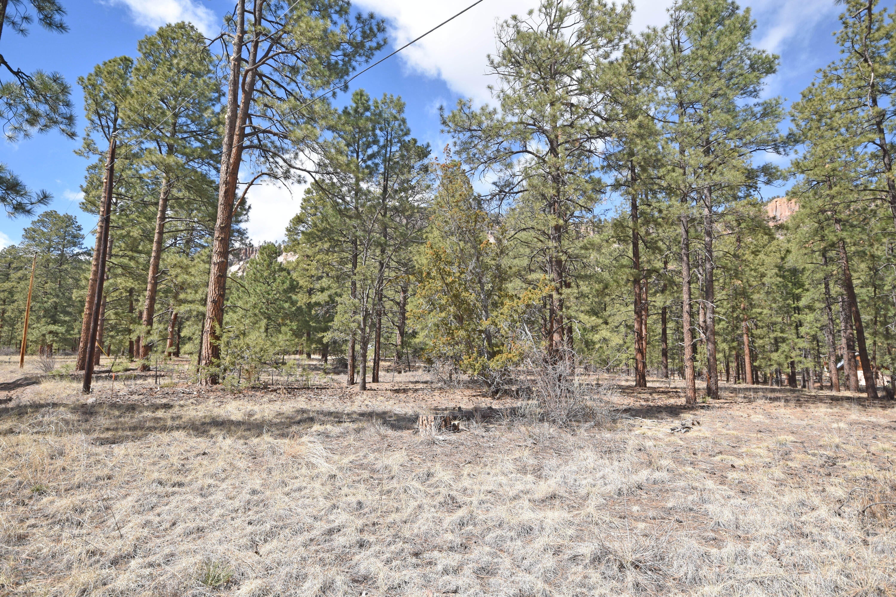 Lot 49 A Cool Pines