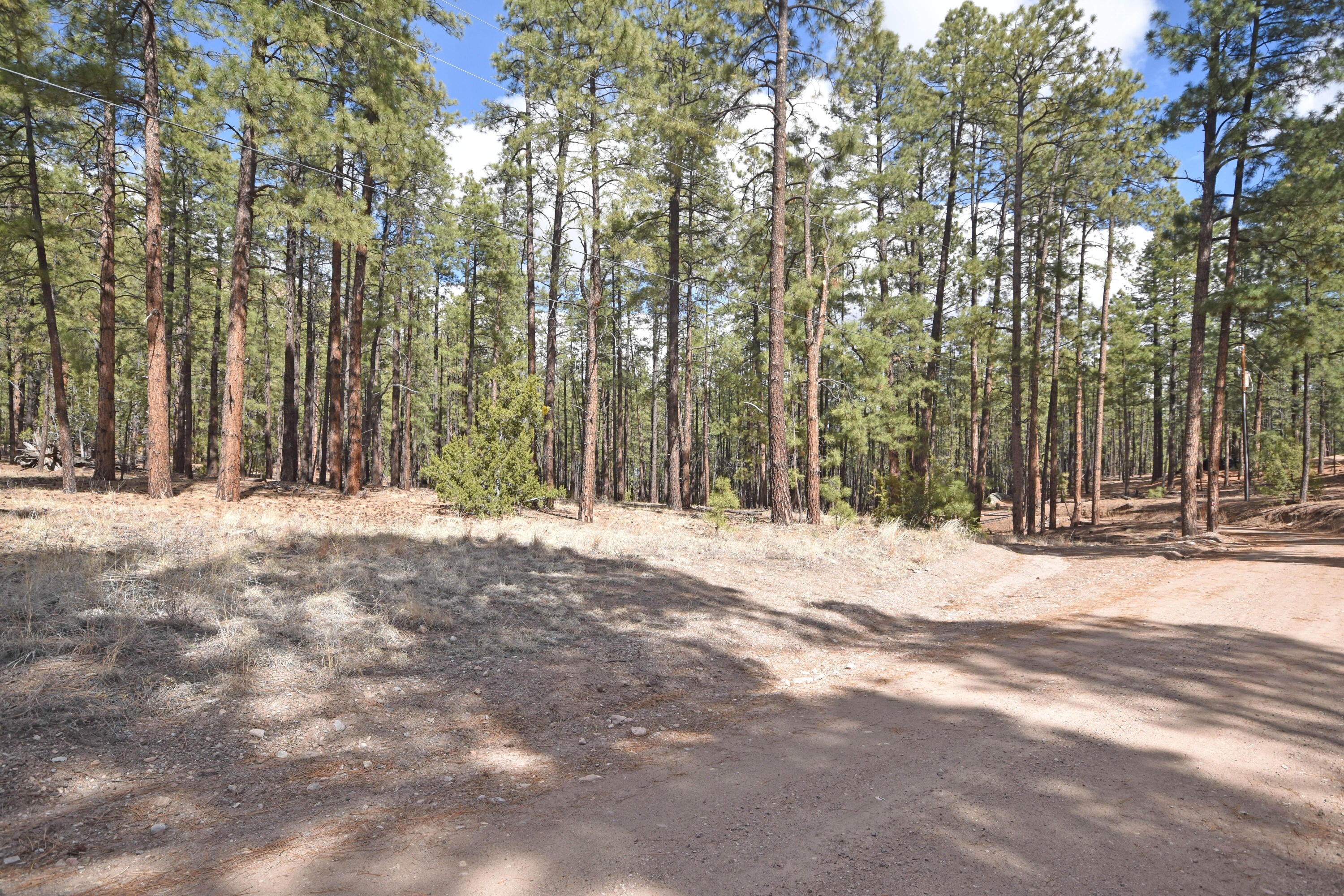 Lot 49 A Cool Pines