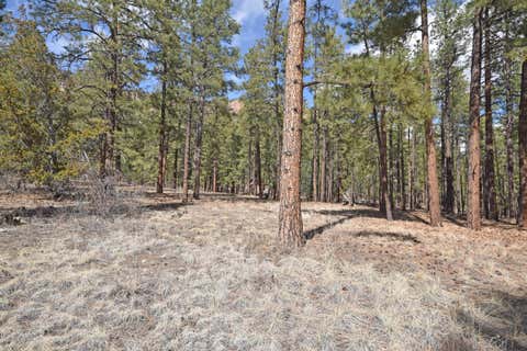 Vacant Land For Sale - LOT 49 A Cool Pines<br/> Sandoval County, Jemez Springs, NM 87025