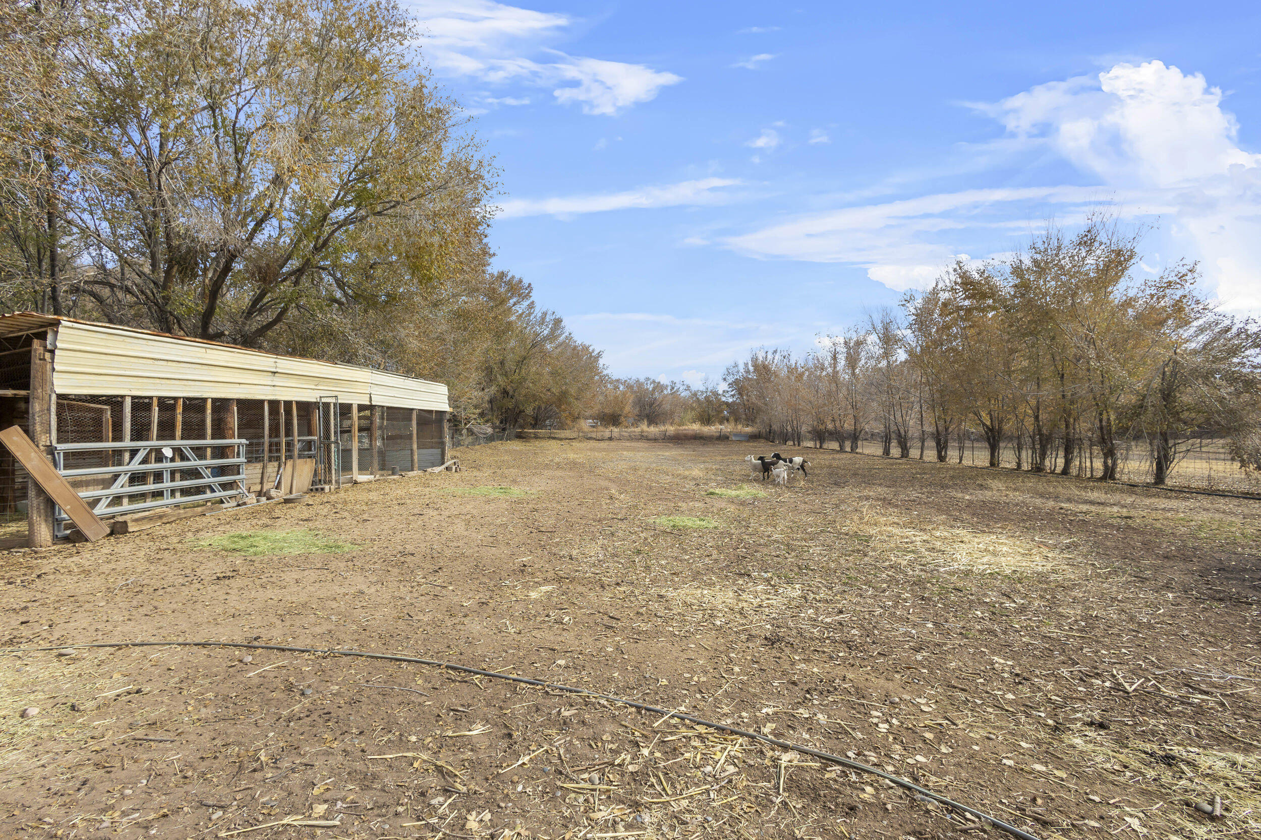 19603 Highway 314, Belen, New Mexico image 33