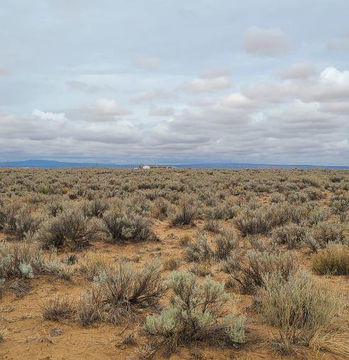 Duarte Road, Los Lunas, New Mexico image 2