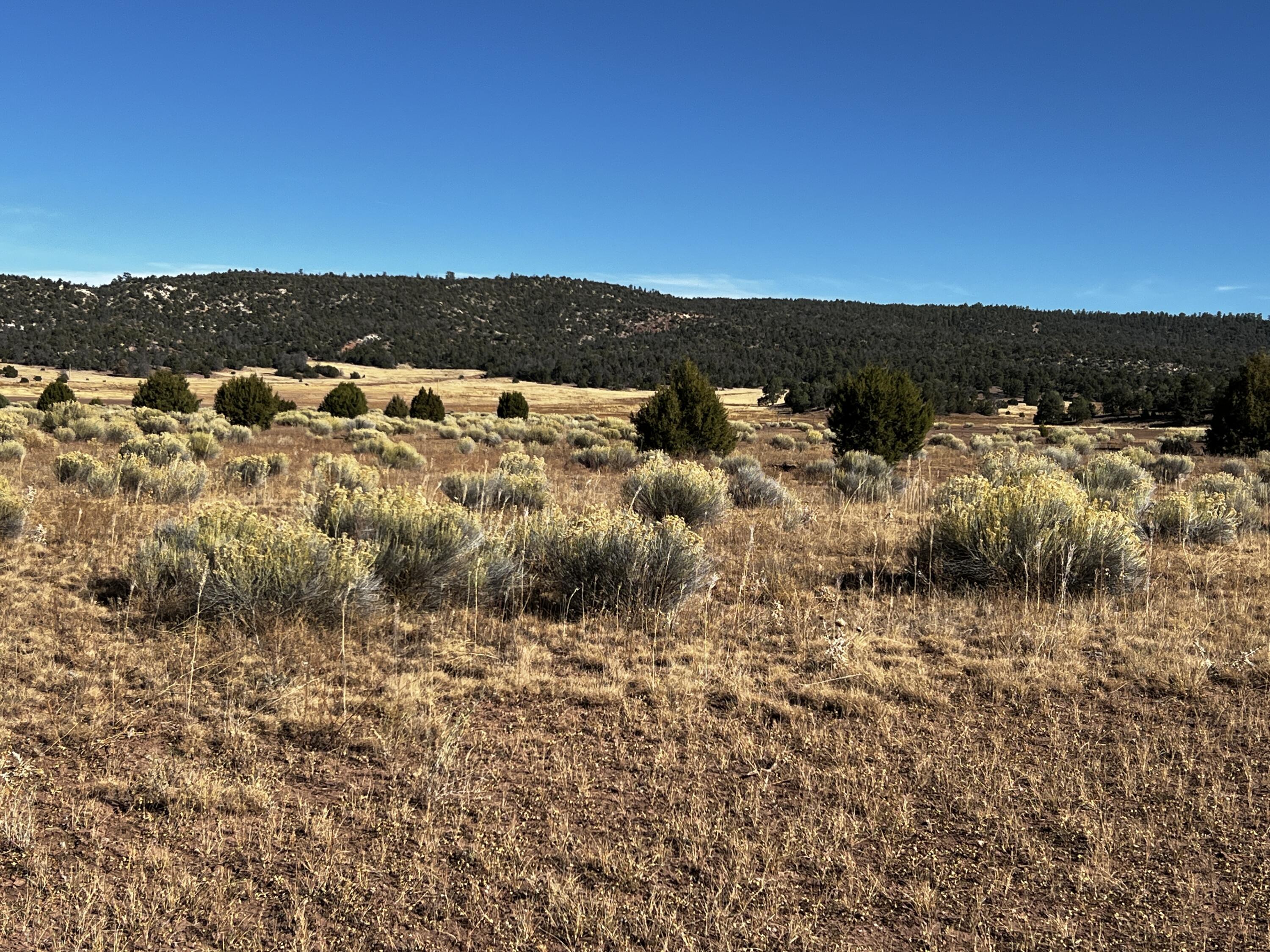 Lot 5B Box S Ranch Road, Ramah, New Mexico image 13