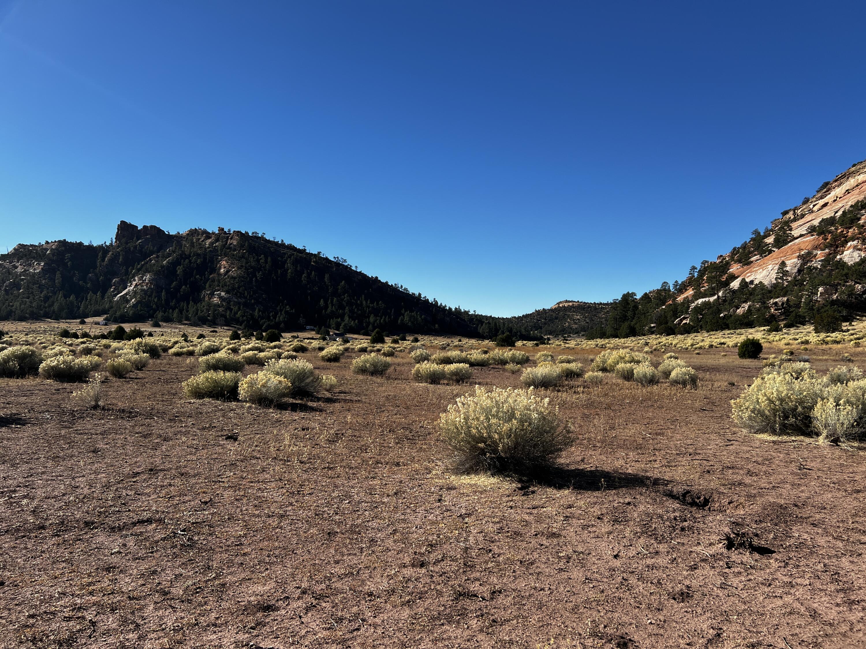 Lot 5B Box S Ranch Road, Ramah, New Mexico image 6