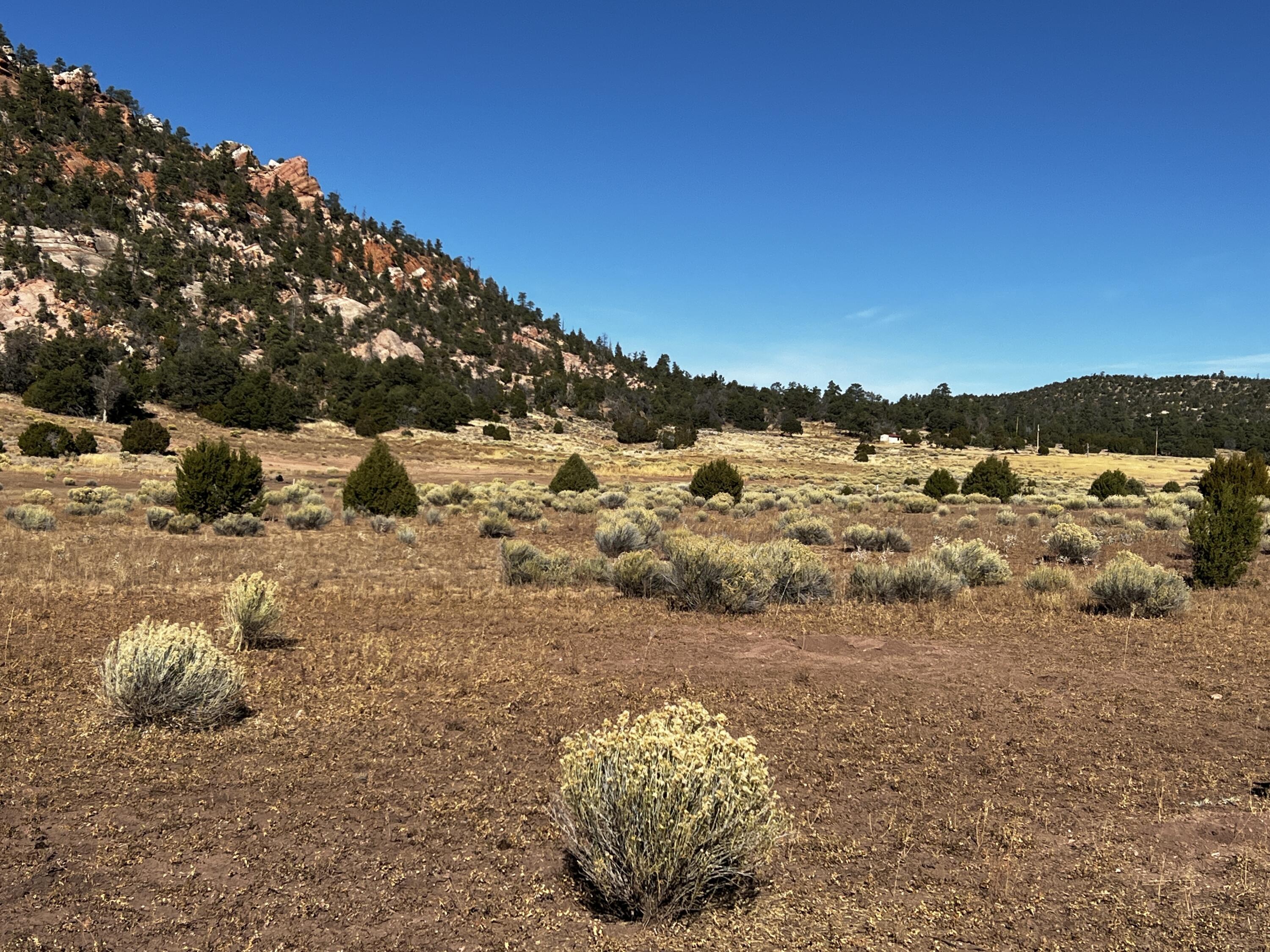 Lot 5B Box S Ranch Road, Ramah, New Mexico image 1