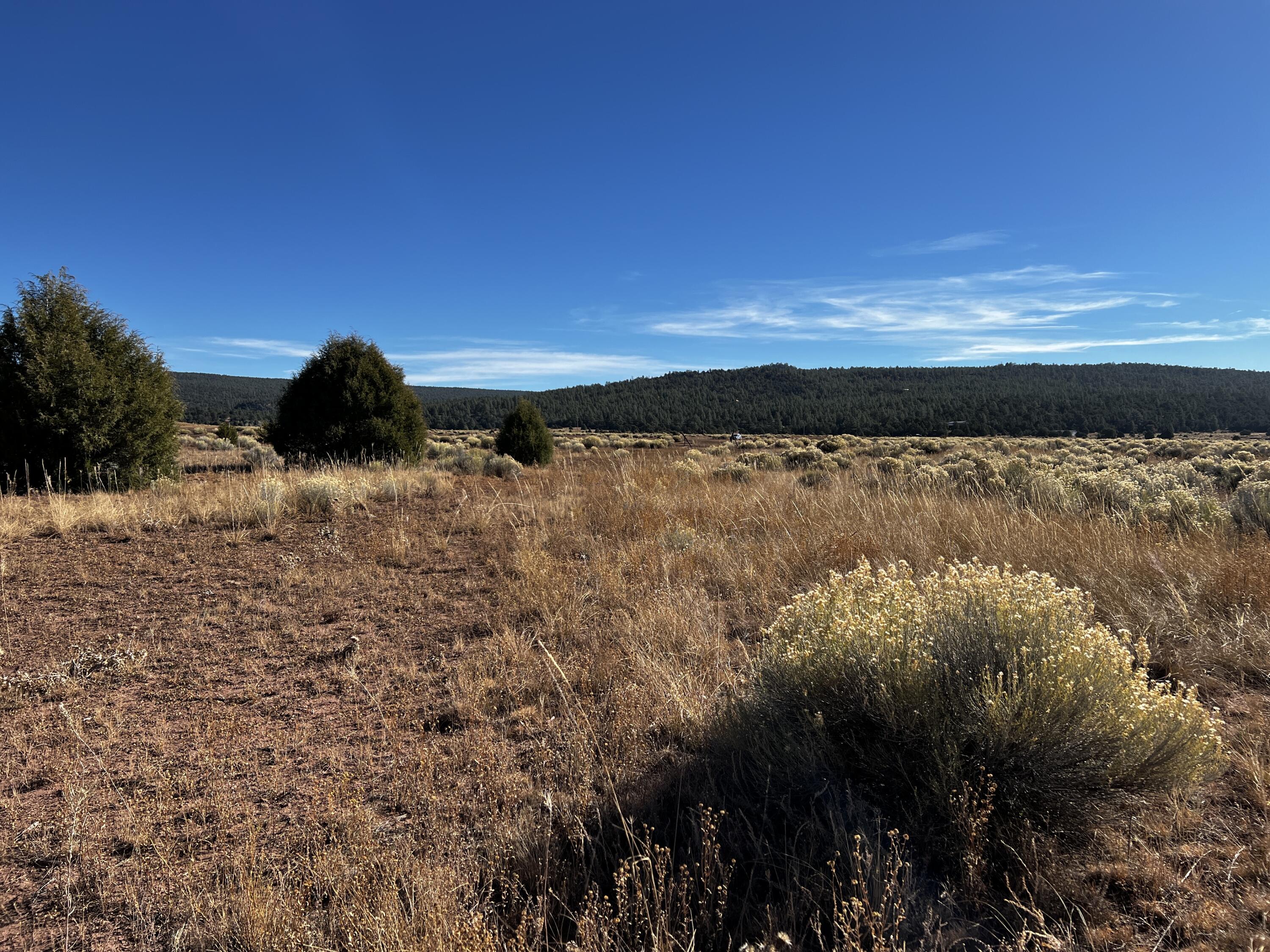 Lot 5B Box S Ranch Road, Ramah, New Mexico image 14