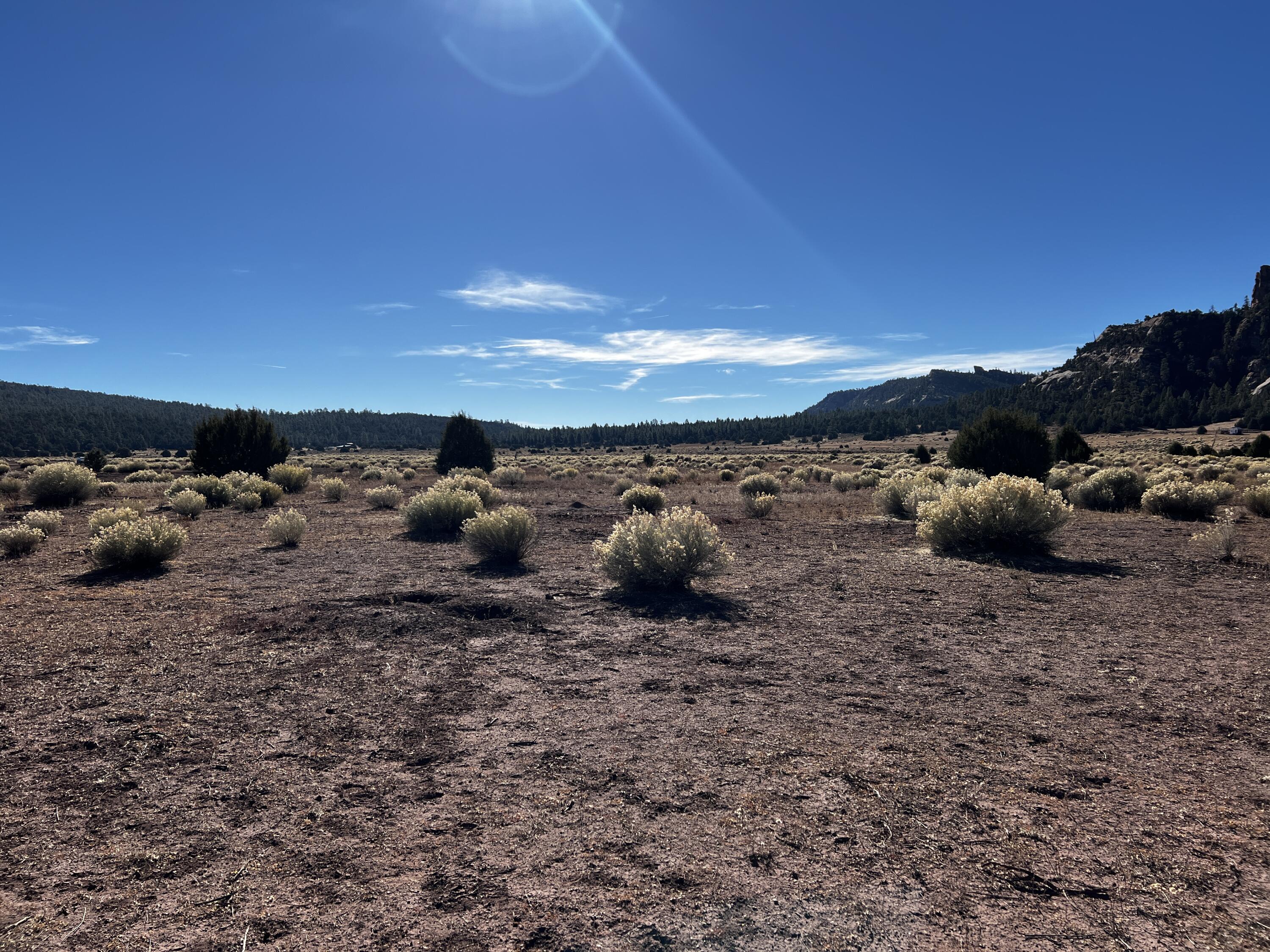 Lot 5B Box S Ranch Road, Ramah, New Mexico image 4