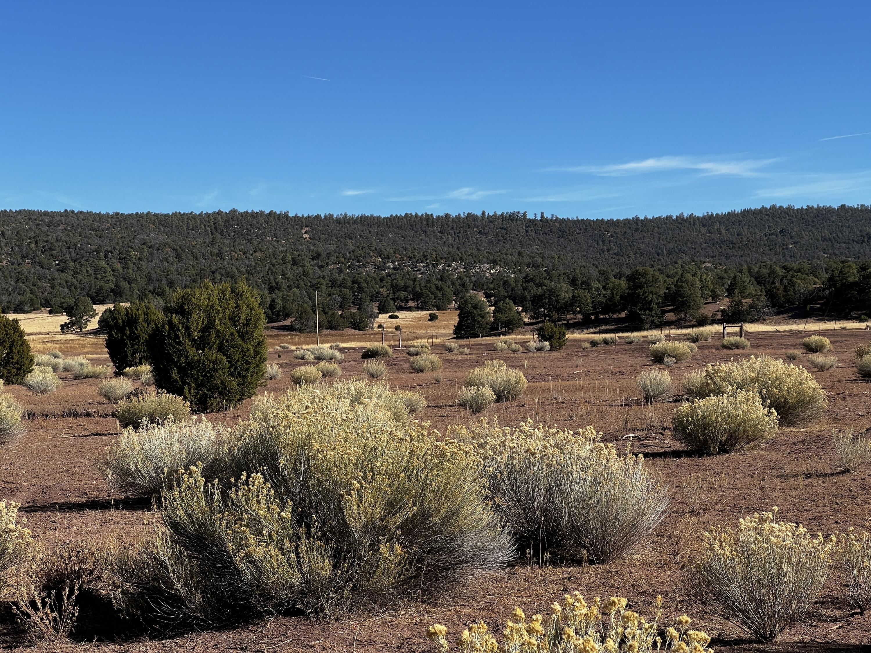 Lot 5B Box S Ranch Road, Ramah, New Mexico image 3