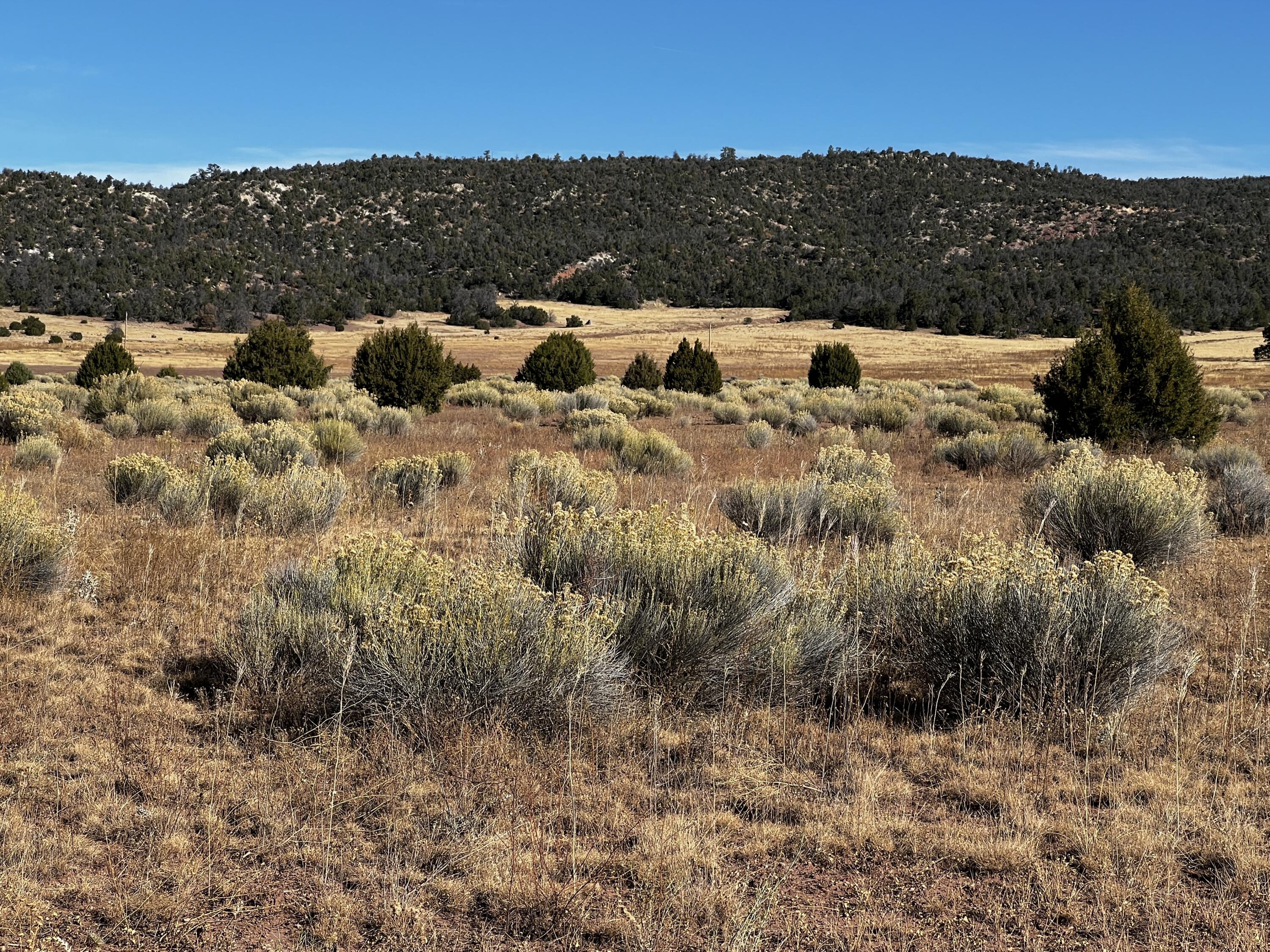 Lot 5B Box S Ranch Road, Ramah, New Mexico image 7