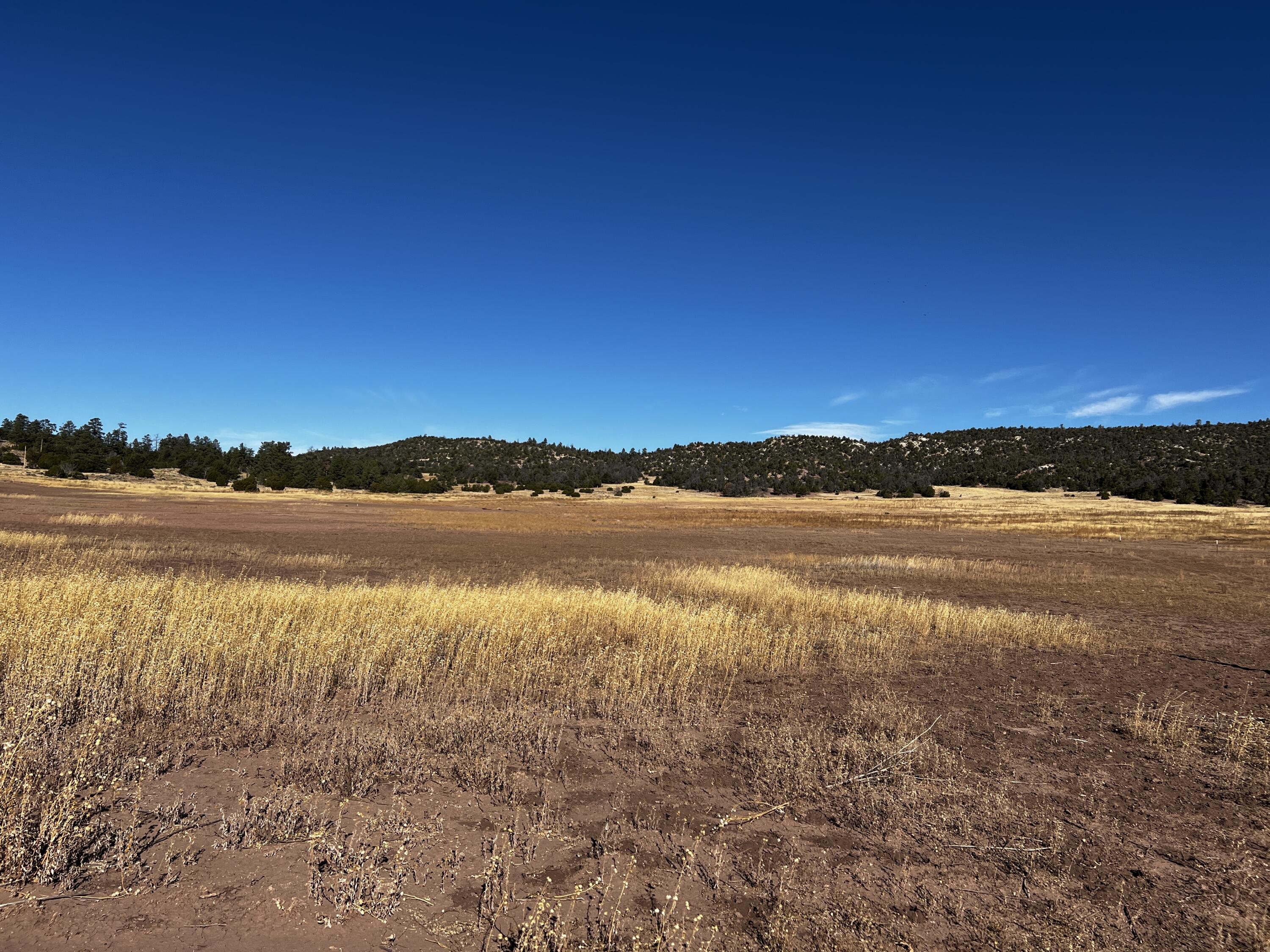 Lot 5B Box S Ranch Road, Ramah, New Mexico image 8