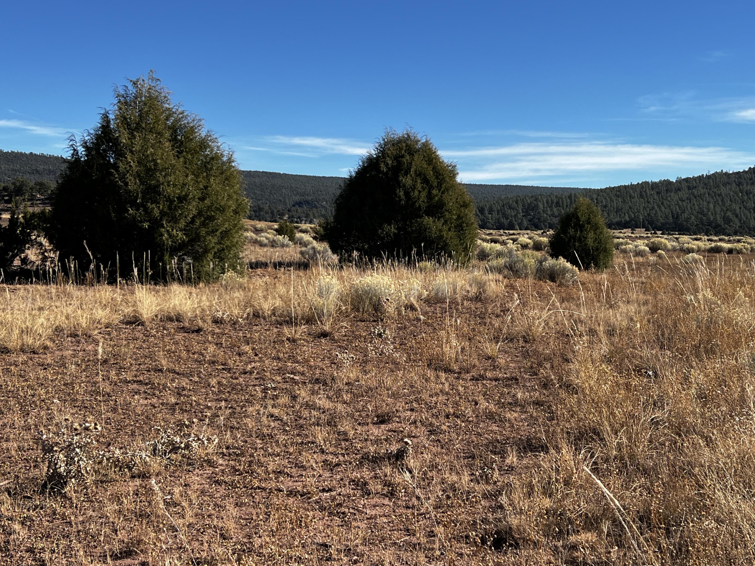 Lot 5B Box S Ranch Road, Ramah, New Mexico image 2