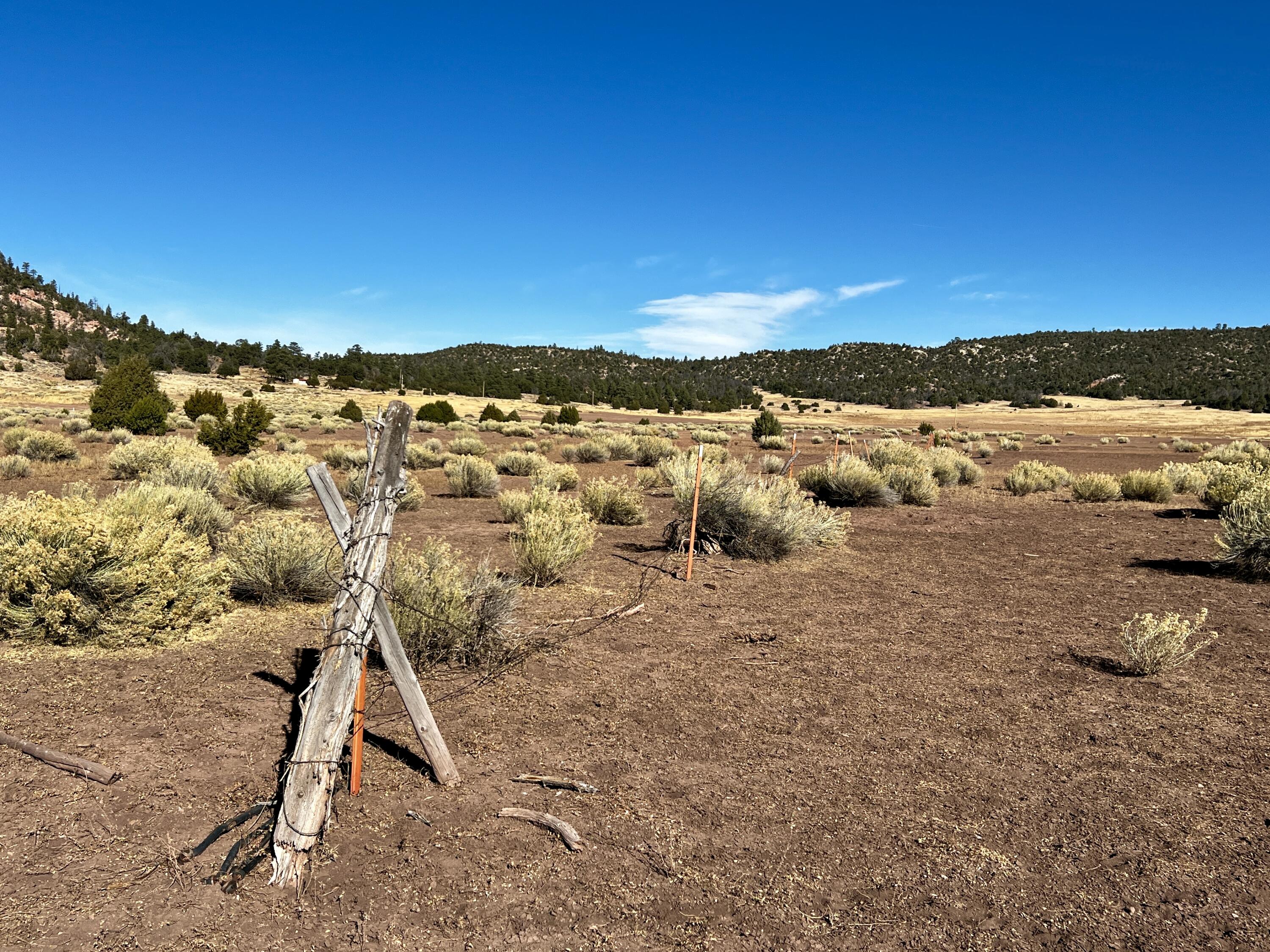 Lot 5B Box S Ranch Road, Ramah, New Mexico image 11