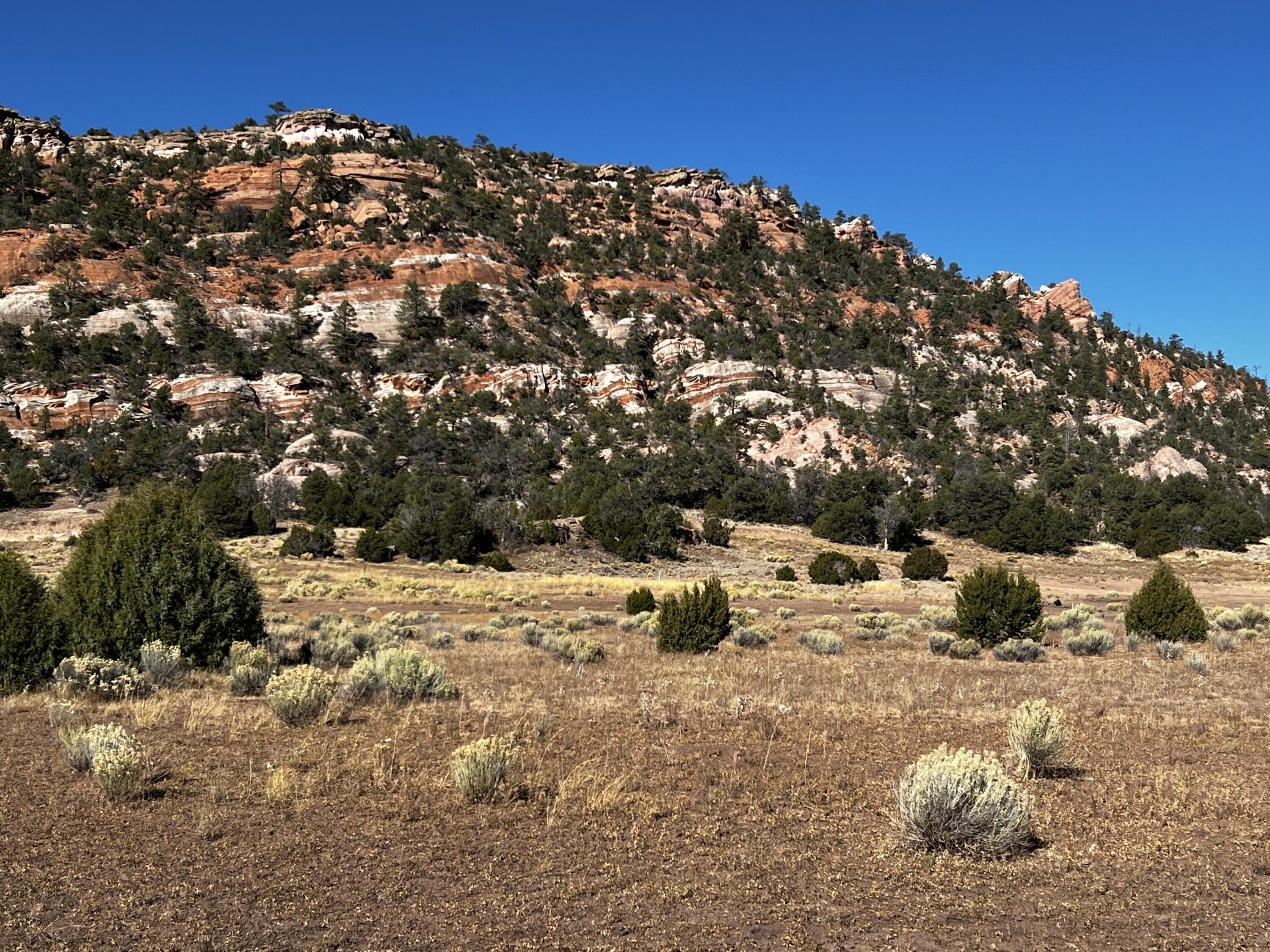 Lot 5B Box S Ranch Road, Ramah, New Mexico image 9