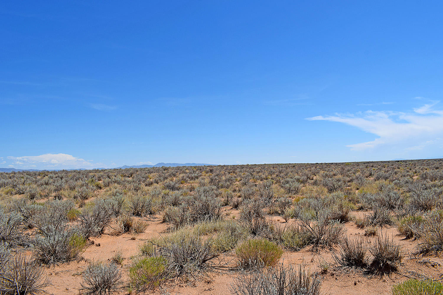 Lot 18 Rio Del Oro #12, Los Lunas, New Mexico image 1