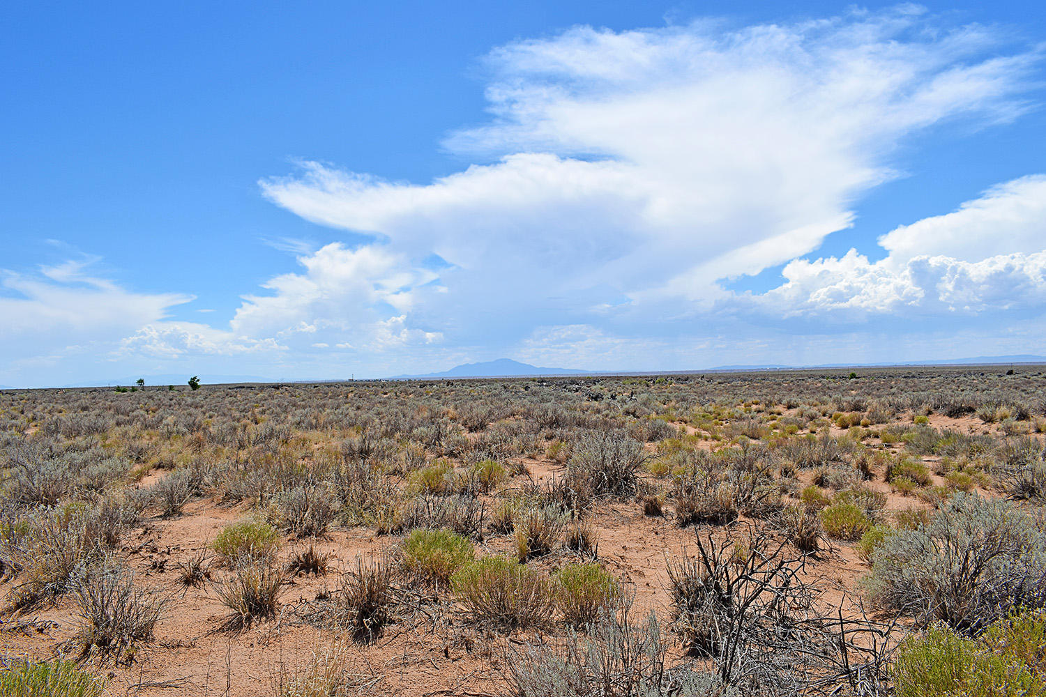 Lot 18 Rio Del Oro #12, Los Lunas, New Mexico image 3