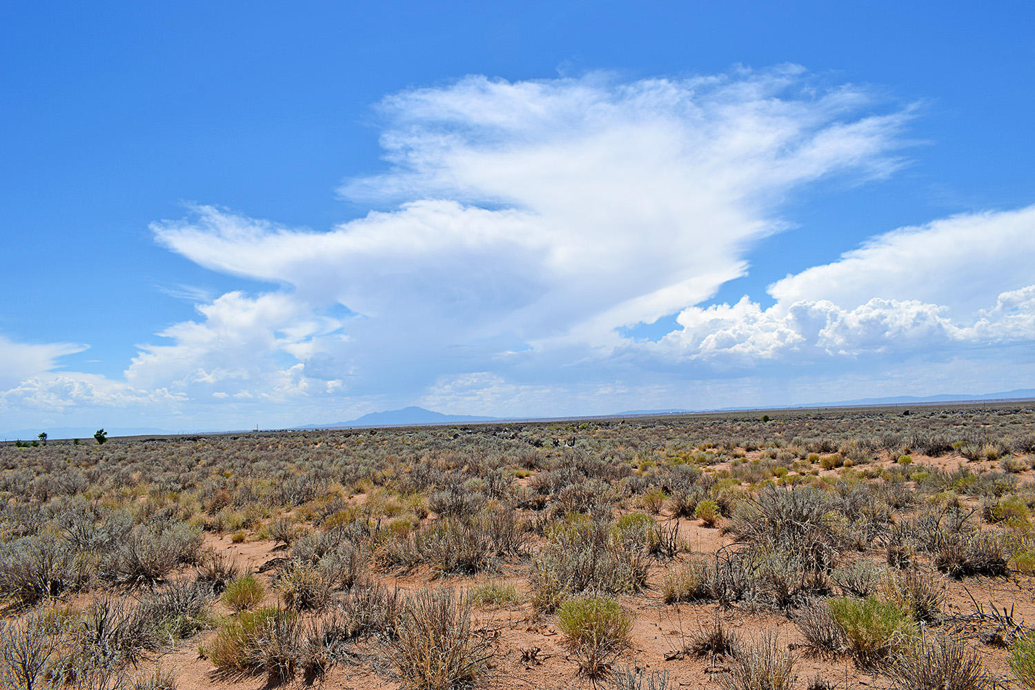 Lot 18 Rio Del Oro #12, Los Lunas, New Mexico image 15