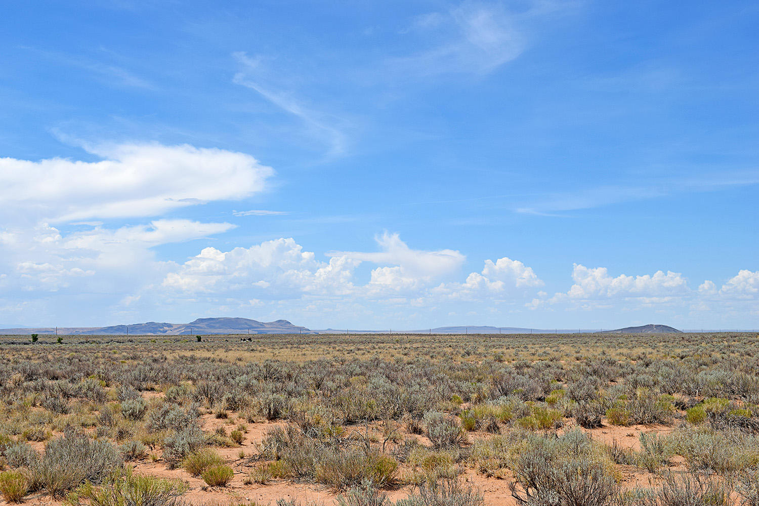 Lot 18 Rio Del Oro #12, Los Lunas, New Mexico image 14