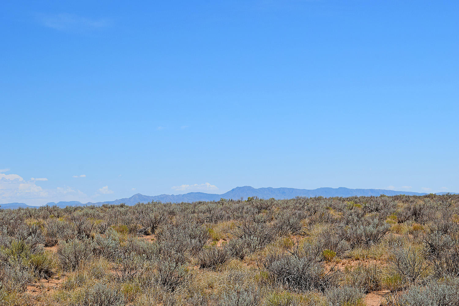 Lot 18 Rio Del Oro #12, Los Lunas, New Mexico image 10