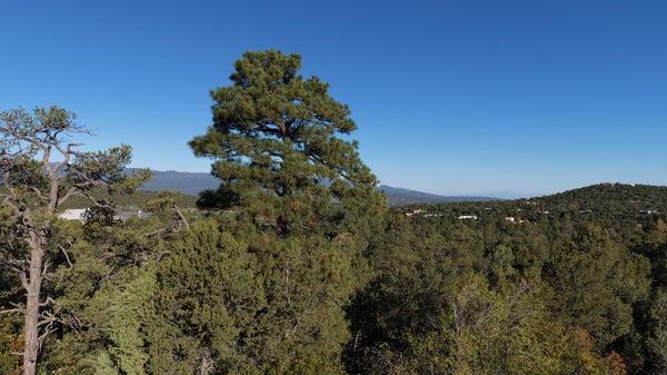 6 LOS PECOS LOOP, TIJERAS, NM 87059 - Image f77bb7a3a99ac4f8e2cd07d95bed1d9f/2817114013