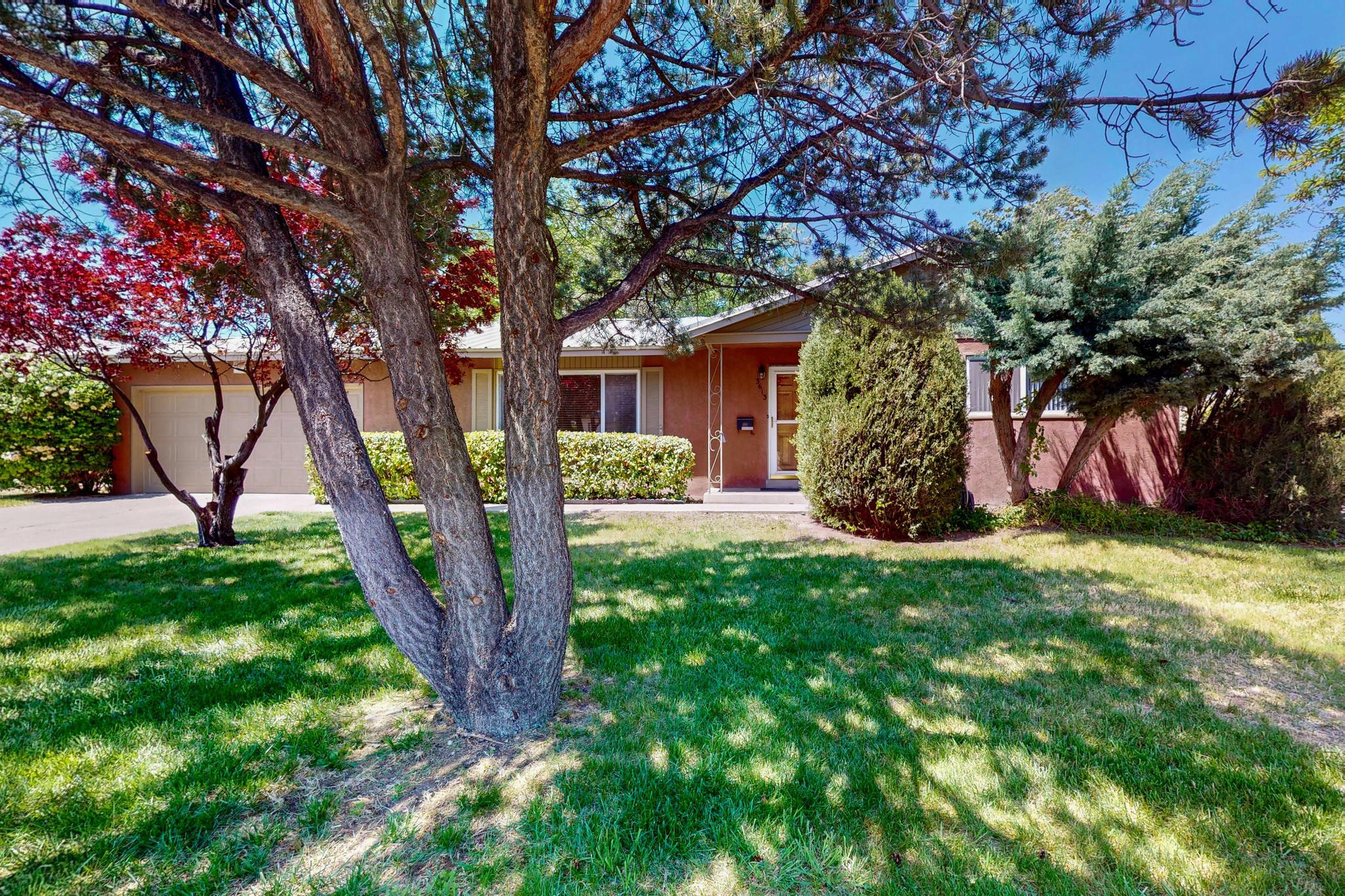 3613 Georgia Street, Albuquerque, New Mexico image 32