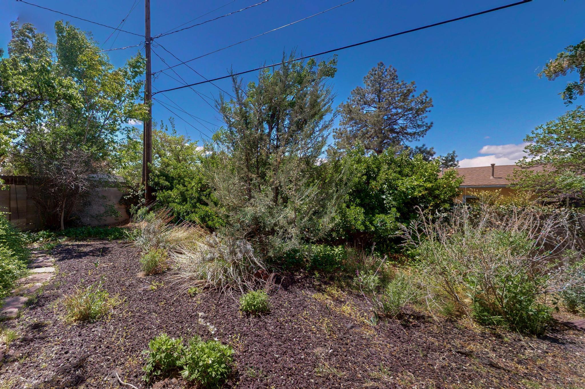 3613 Georgia Street, Albuquerque, New Mexico image 35