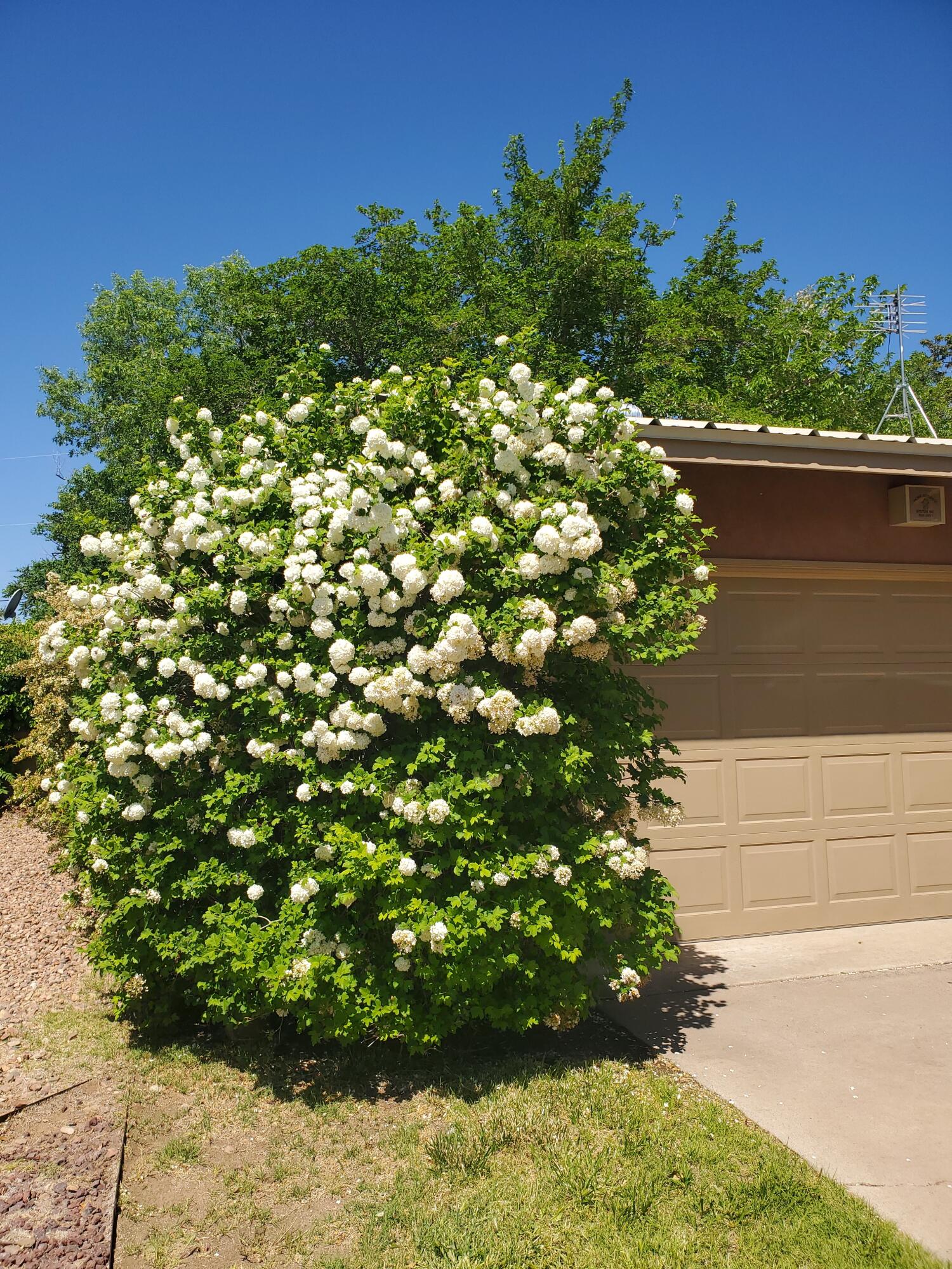 3613 Georgia Street, Albuquerque, New Mexico image 33