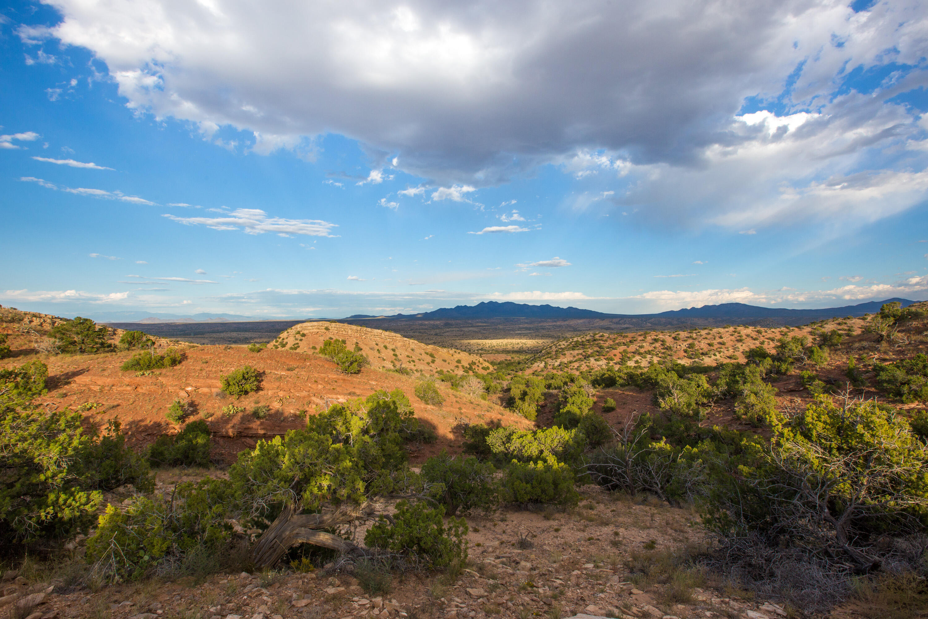 310 Sunrise Lane, Placitas, New Mexico image 25