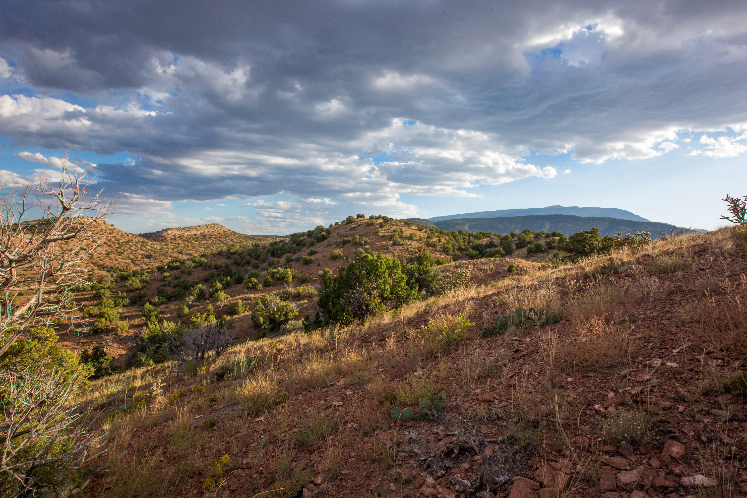 310 Sunrise Lane, Placitas, New Mexico image 28