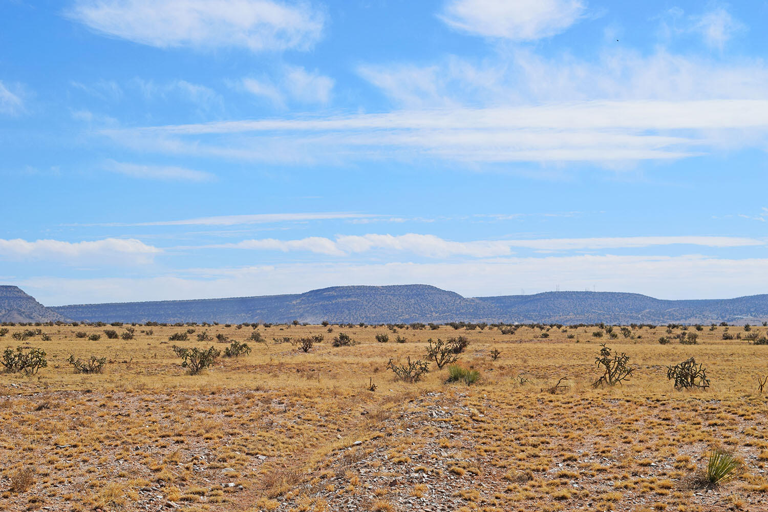 Lot 7-8 Jaca Circle, Belen, New Mexico image 41
