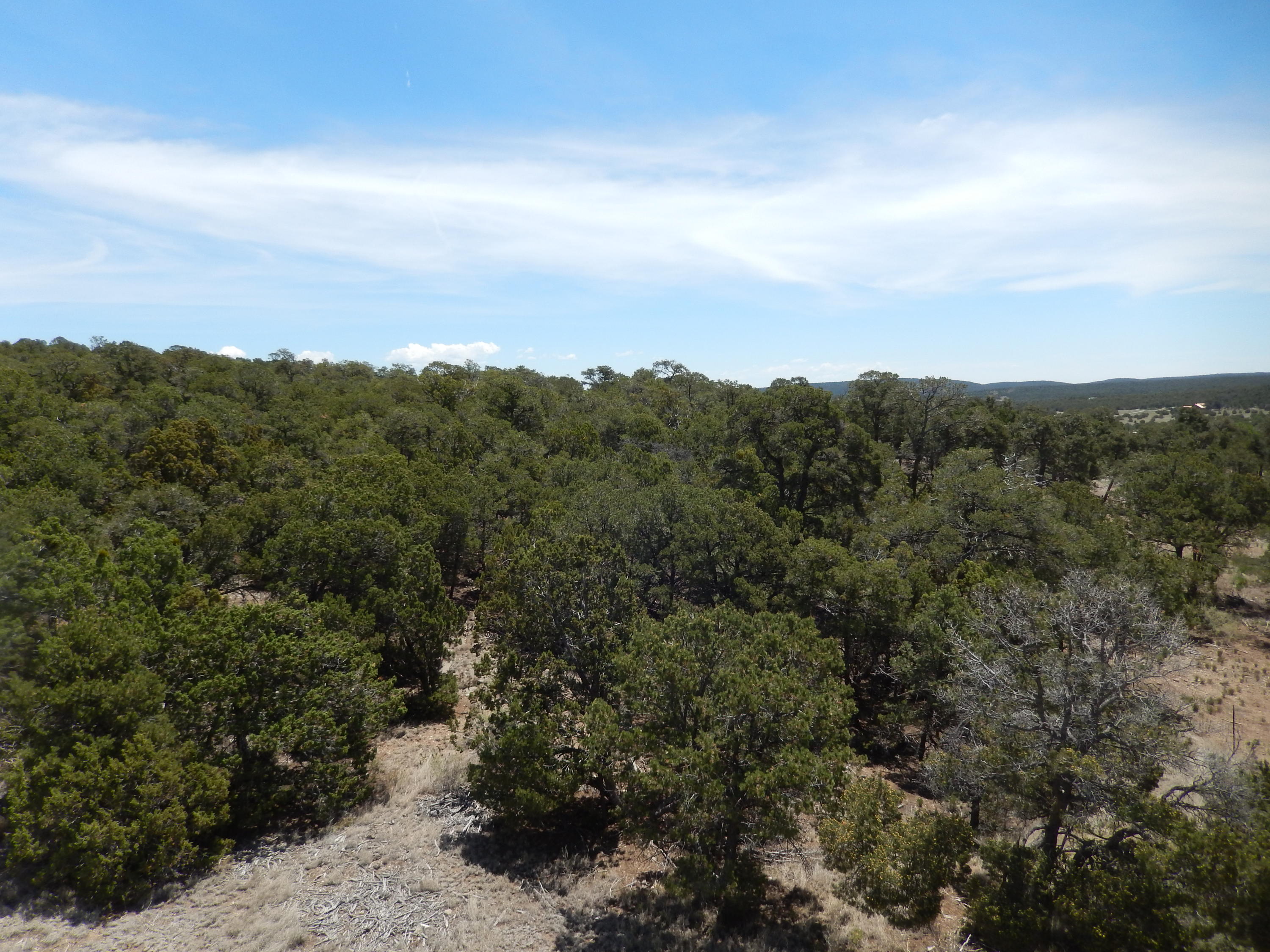 36 Alta Vista Road, Tijeras, New Mexico image 3