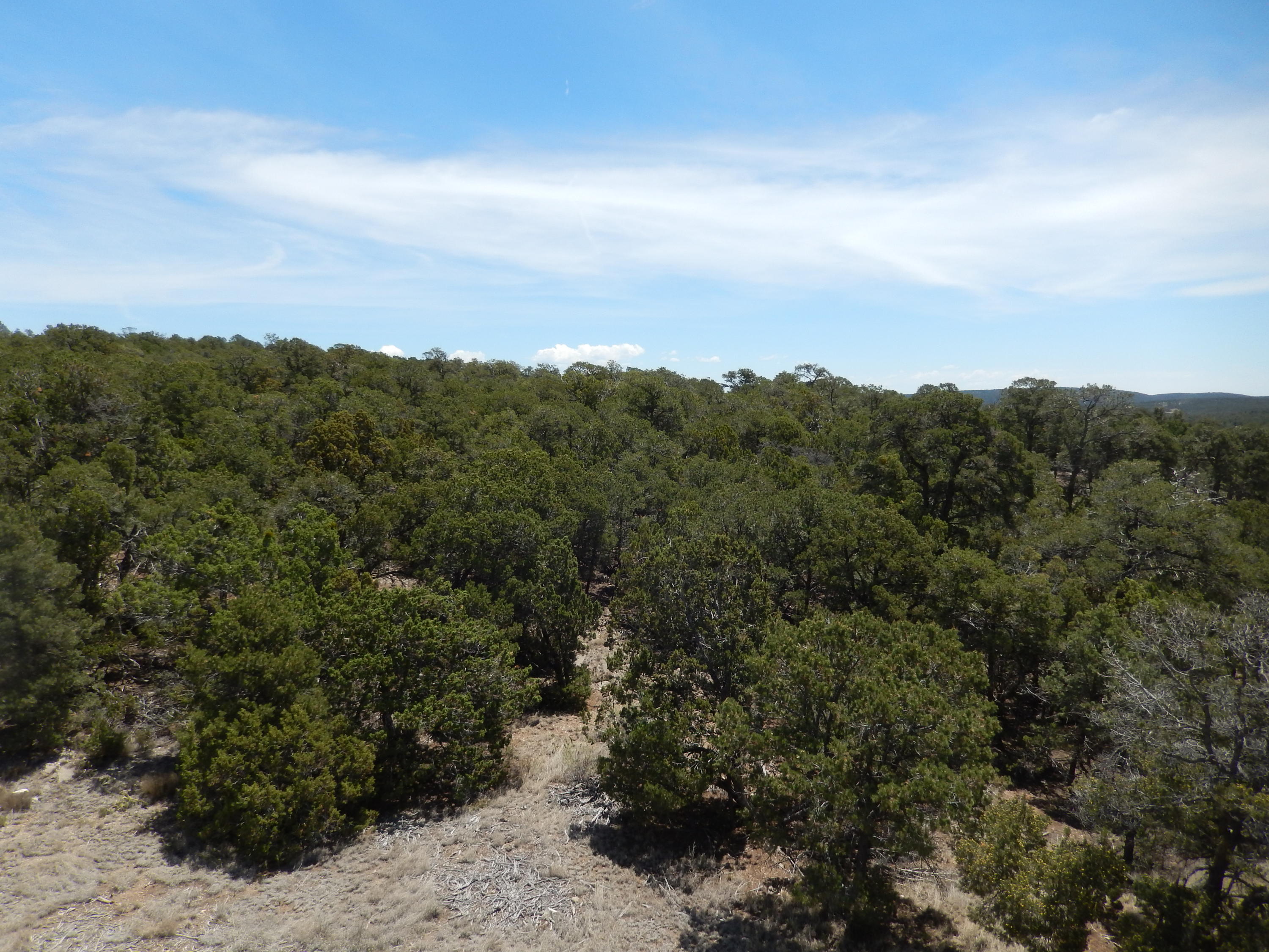 36 Alta Vista Road, Tijeras, New Mexico image 7