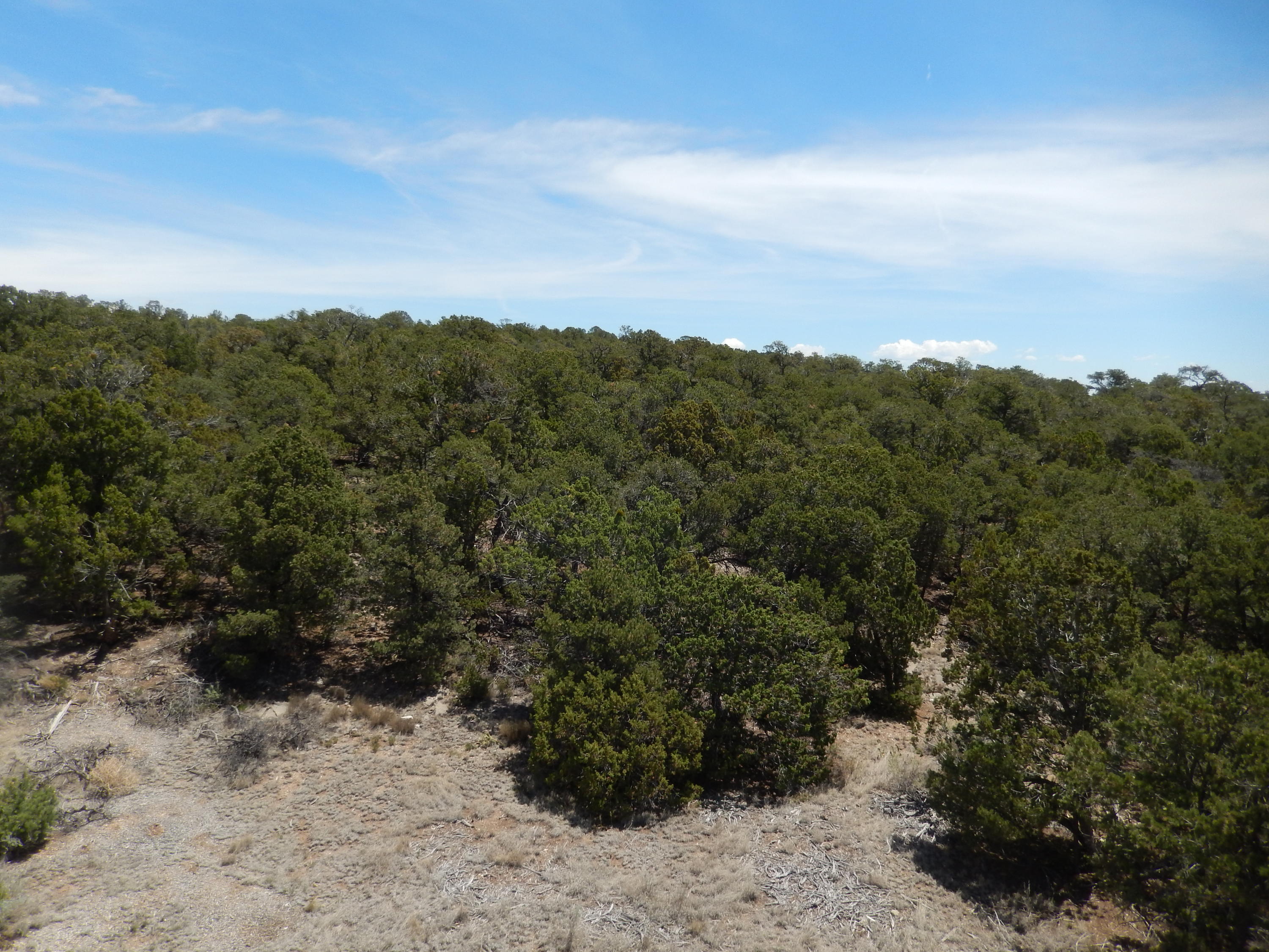 36 Alta Vista Road, Tijeras, New Mexico image 8