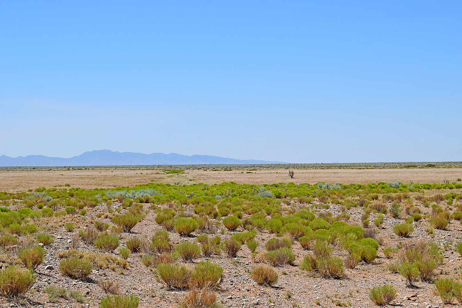 Lot 105 Rancho Rio Grande #16E, Los Lunas, New Mexico image 1