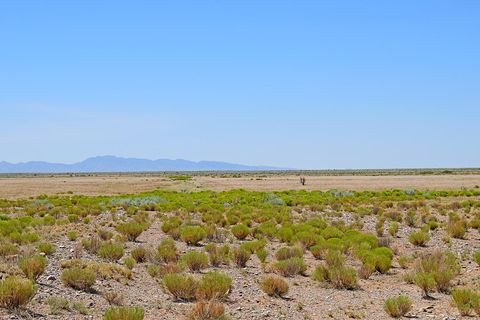 Vacant Land For Sale - LOT 105 Rancho Rio Grande #16E<br/> Los Lunas, NM 87031