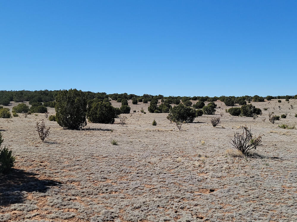 86 Brazos Loop, Estancia, New Mexico image 2