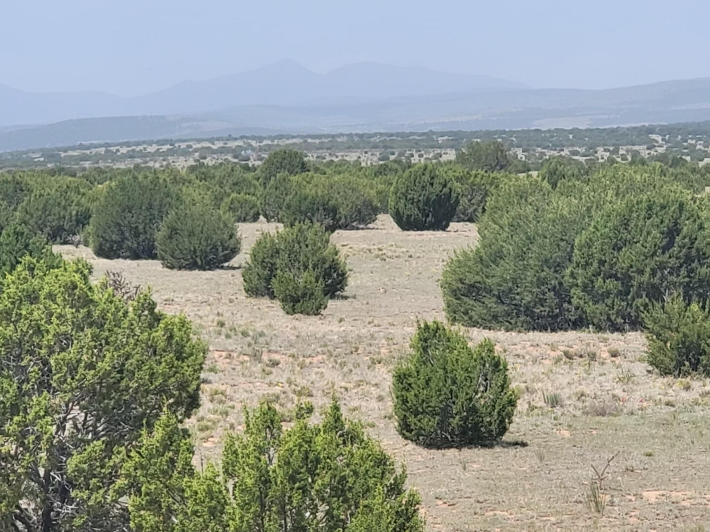 86 Brazos Loop, Estancia, New Mexico image 1