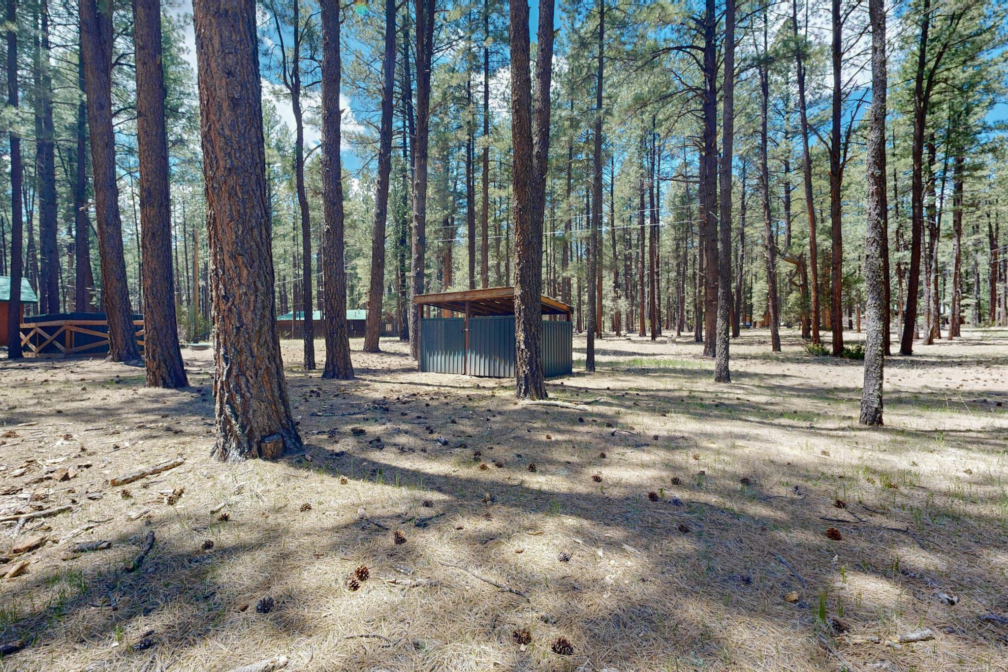 243 Ponderosa Place, Jemez Springs, New Mexico image 47