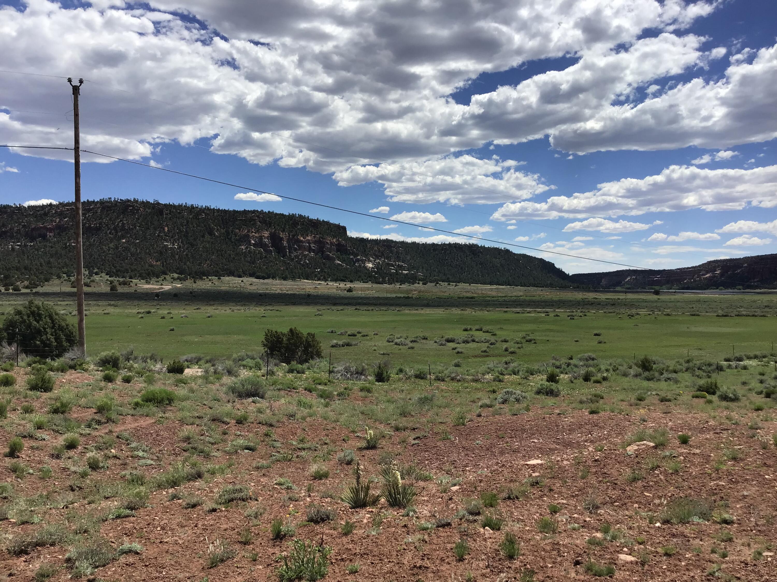 Lot D Timberlake Road, Ramah, New Mexico image 16