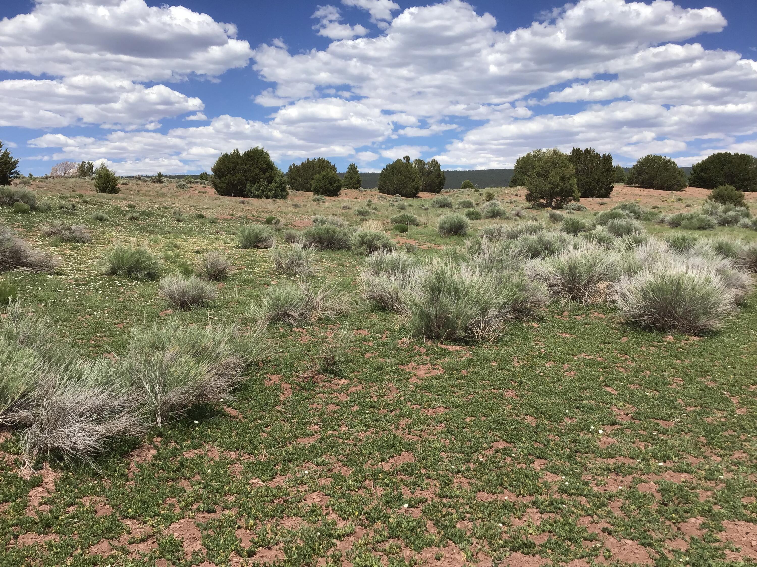 Lot D Timberlake Road, Ramah, New Mexico image 19