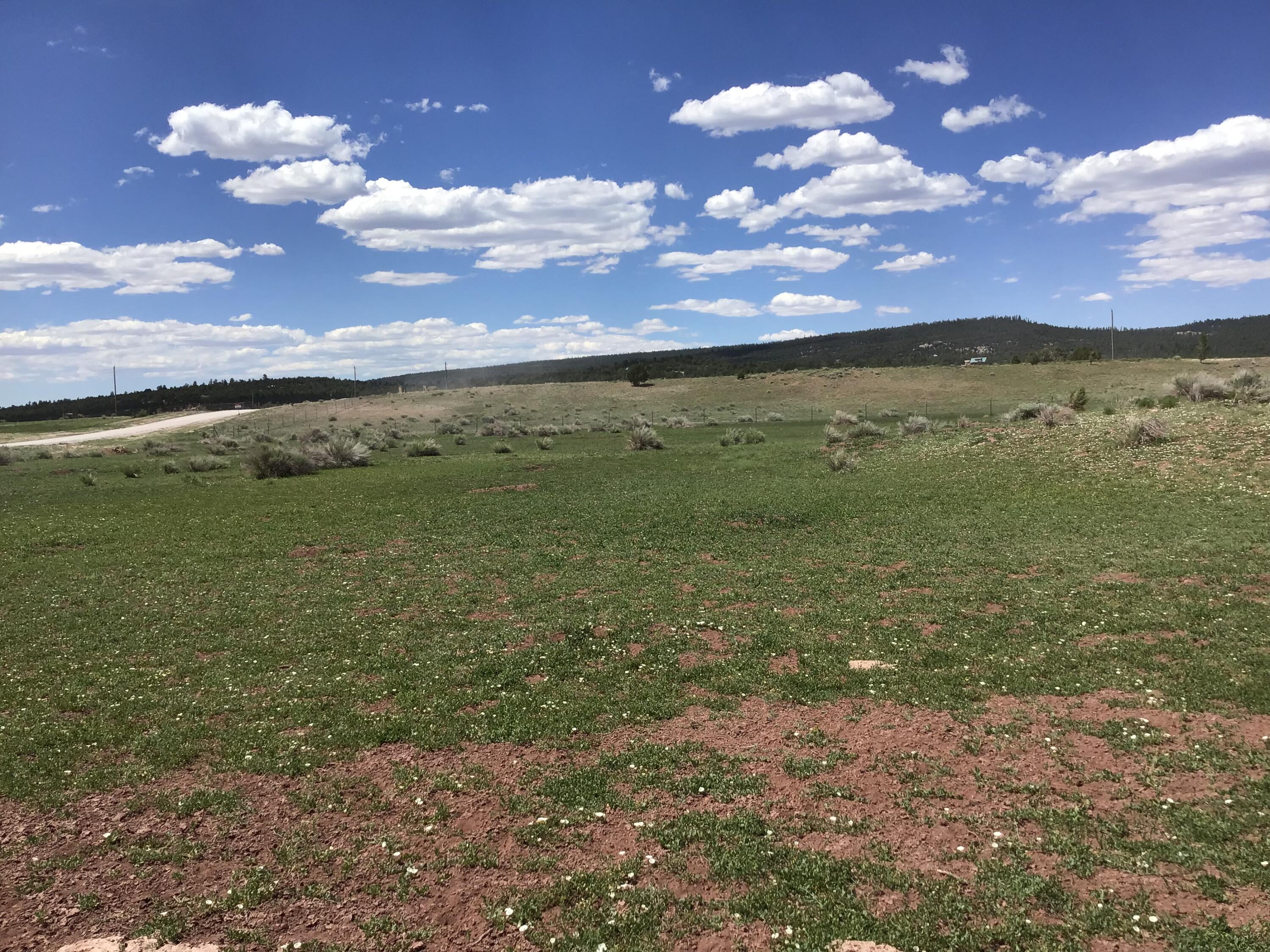 Lot D Timberlake Road, Ramah, New Mexico image 20