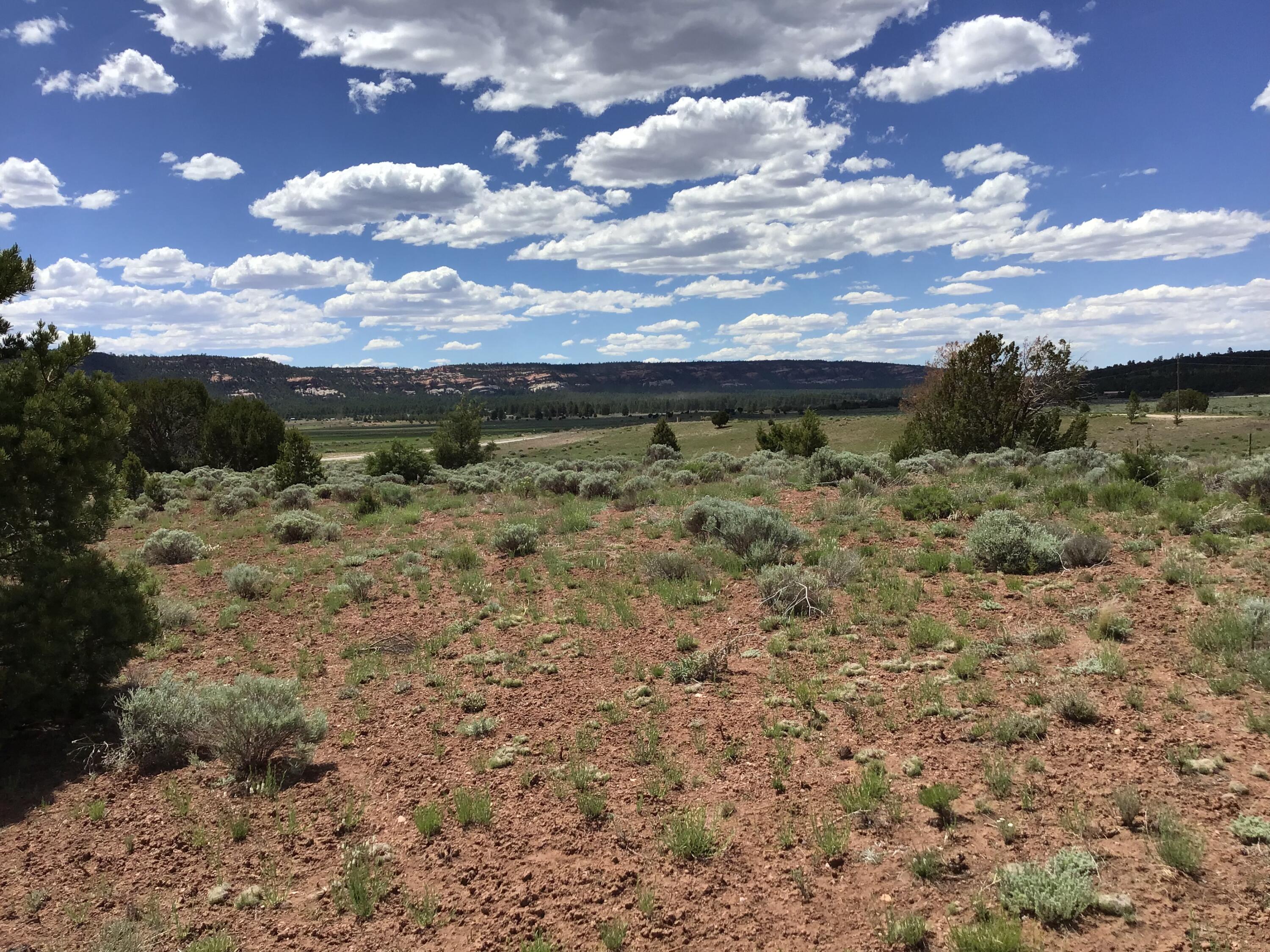 Lot D Timberlake Road, Ramah, New Mexico image 9