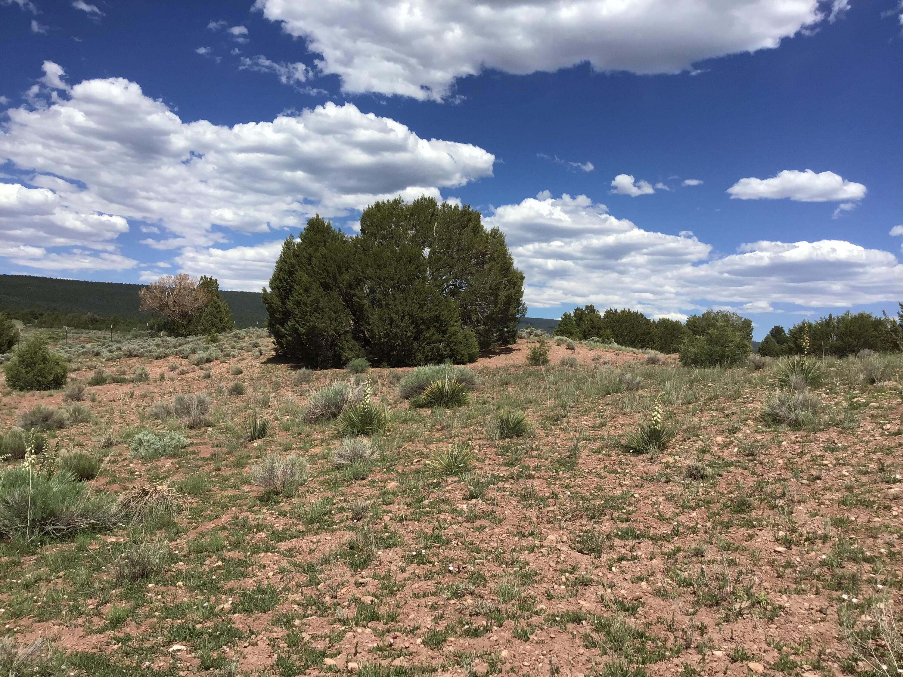 Lot D Timberlake Road, Ramah, New Mexico image 6