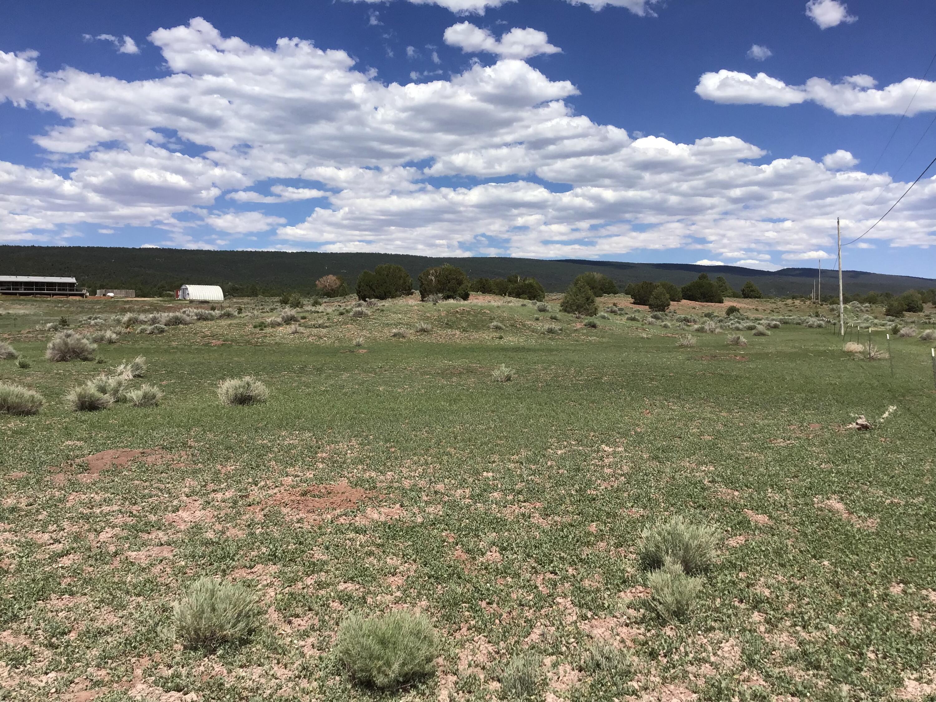 Lot D Timberlake Road, Ramah, New Mexico image 23