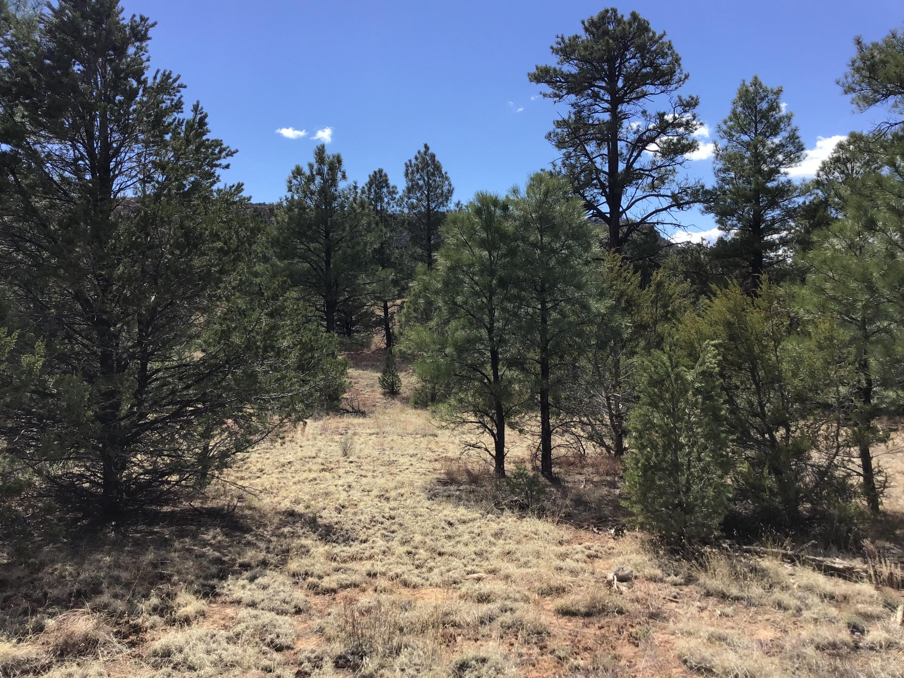 Lot 28 Monte Vista Lane, Ramah, New Mexico image 9
