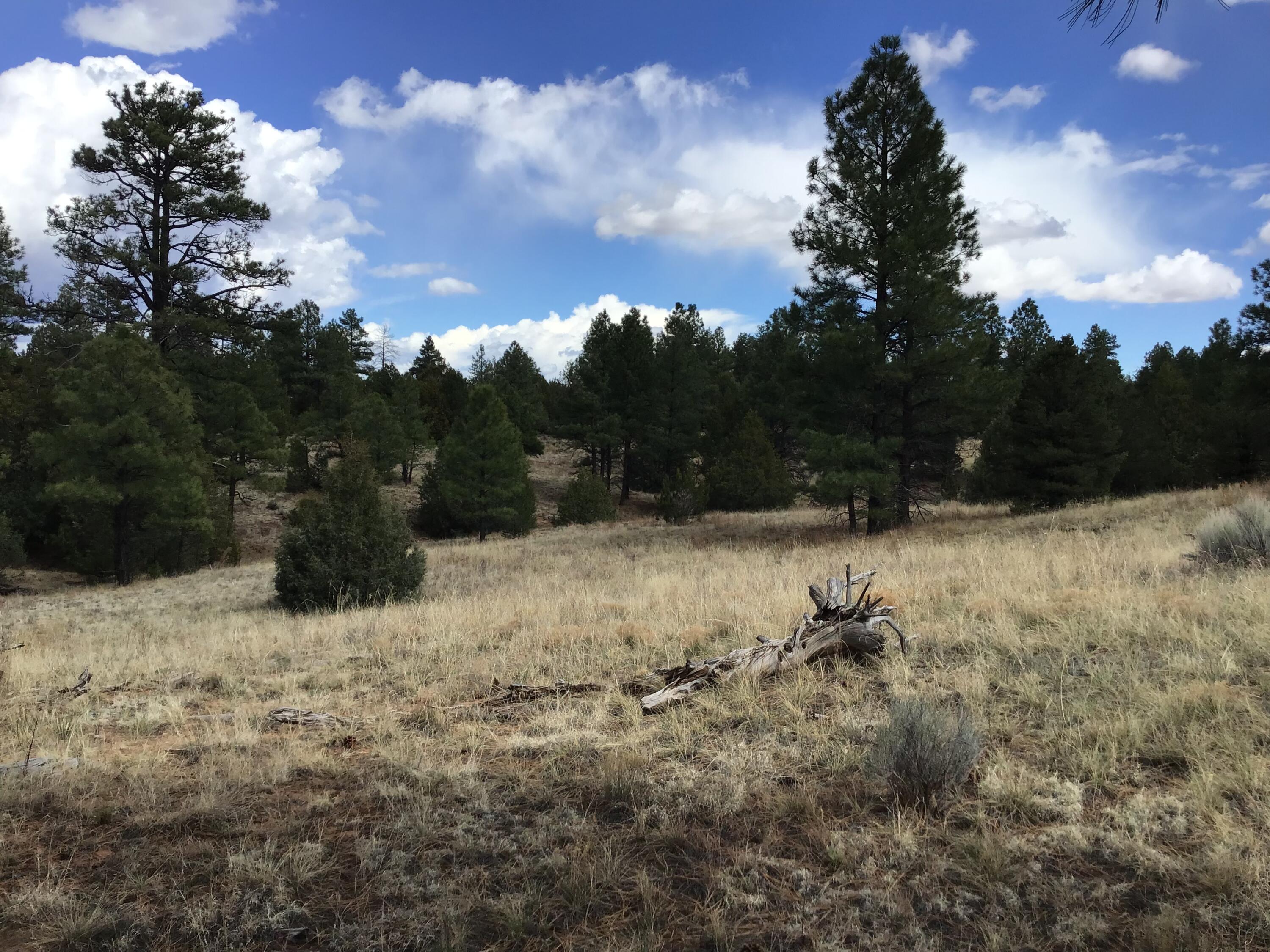 Lot 28 Monte Vista Lane, Ramah, New Mexico image 38