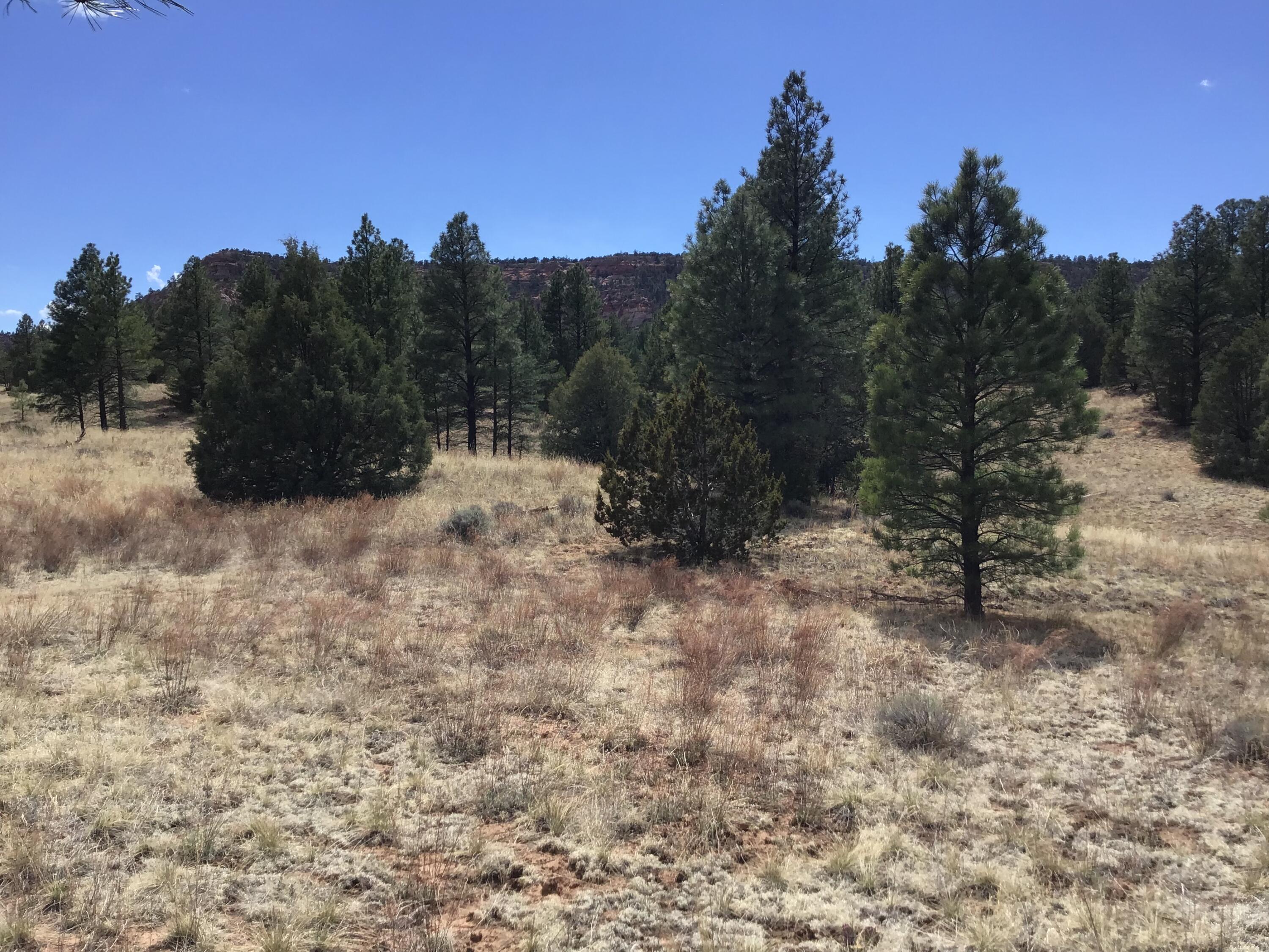 Lot 28 Monte Vista Lane, Ramah, New Mexico image 3