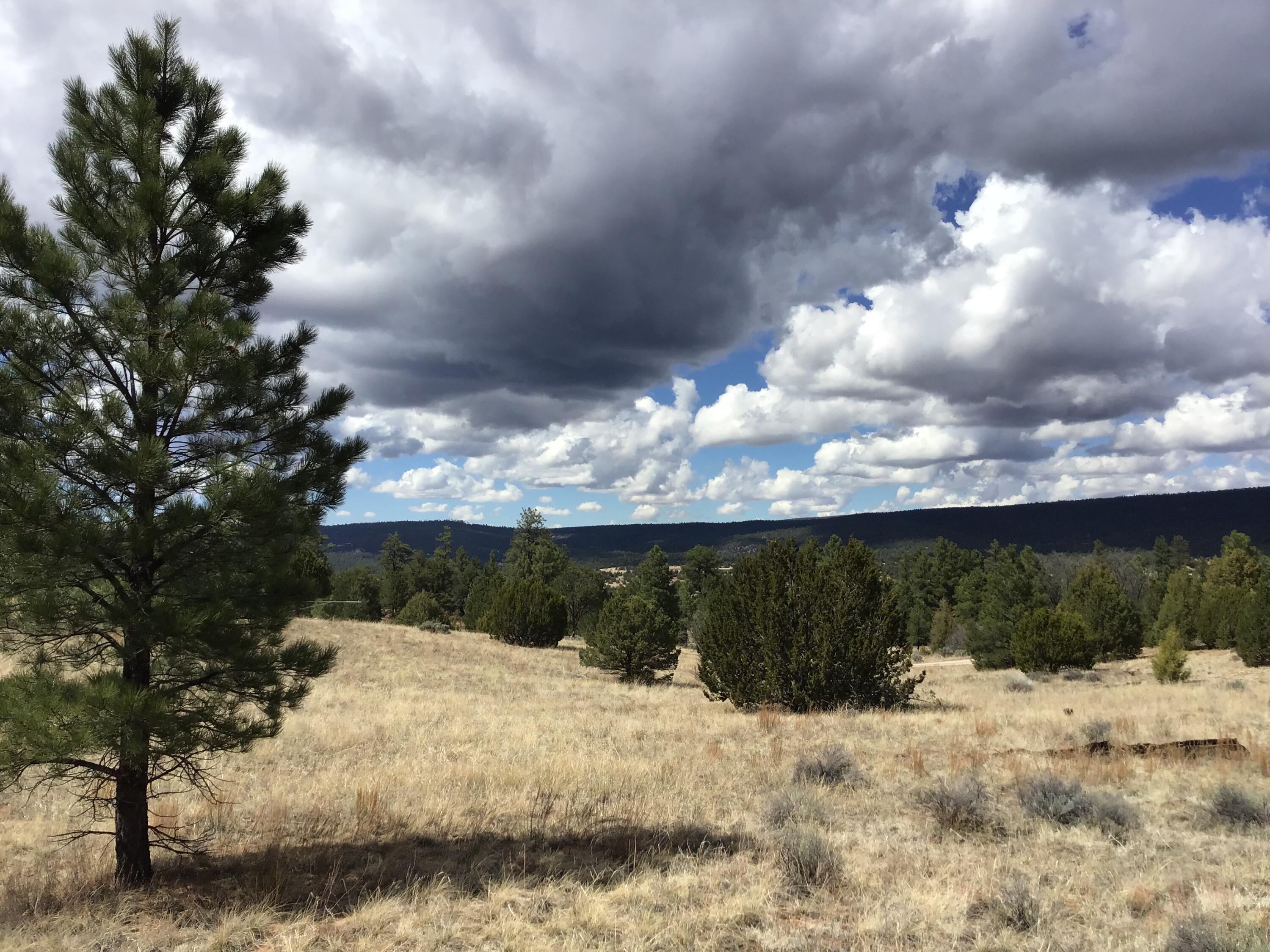 Lot 28 Monte Vista Lane, Ramah, New Mexico image 22