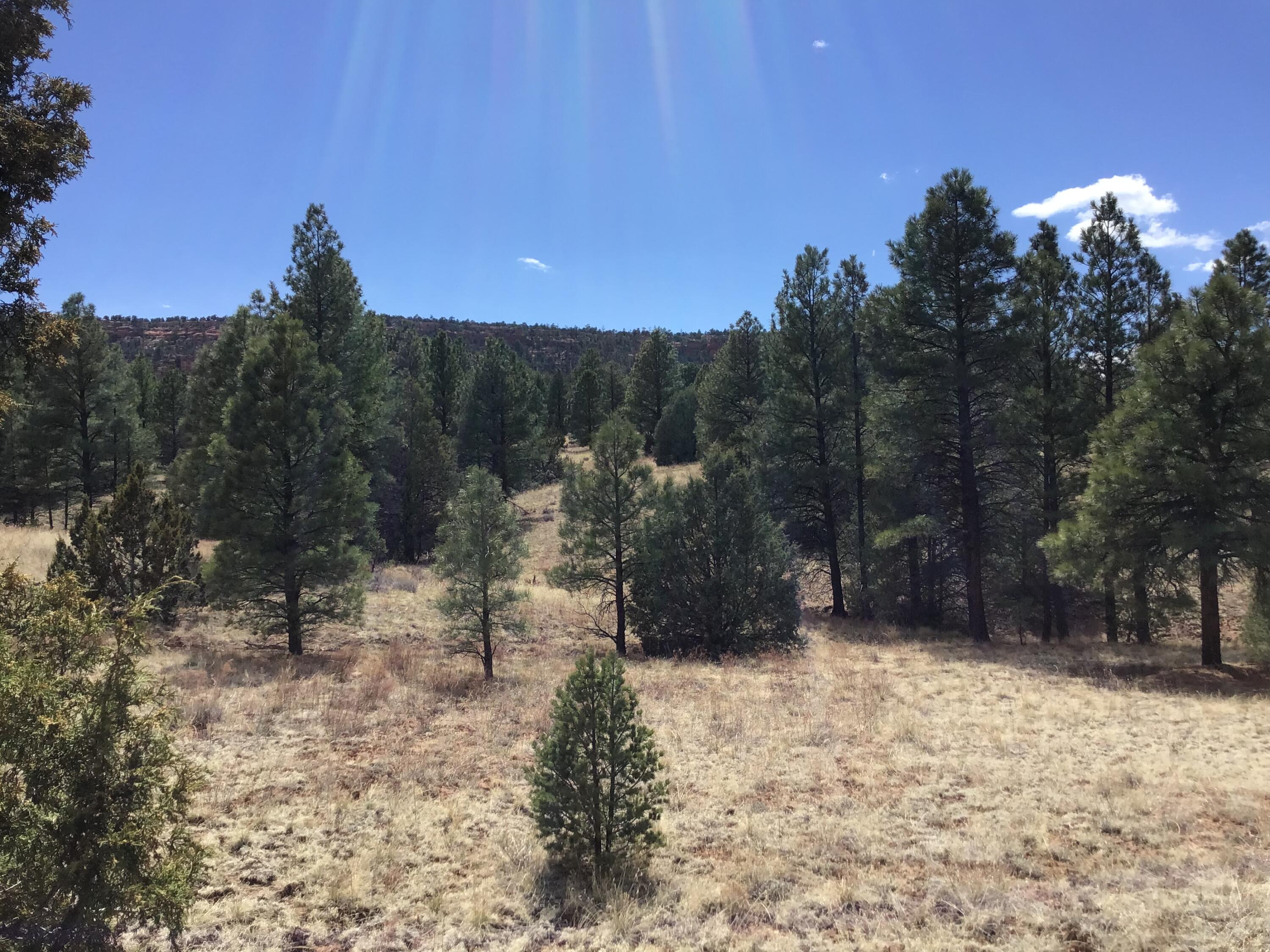 Lot 28 Monte Vista Lane, Ramah, New Mexico image 12