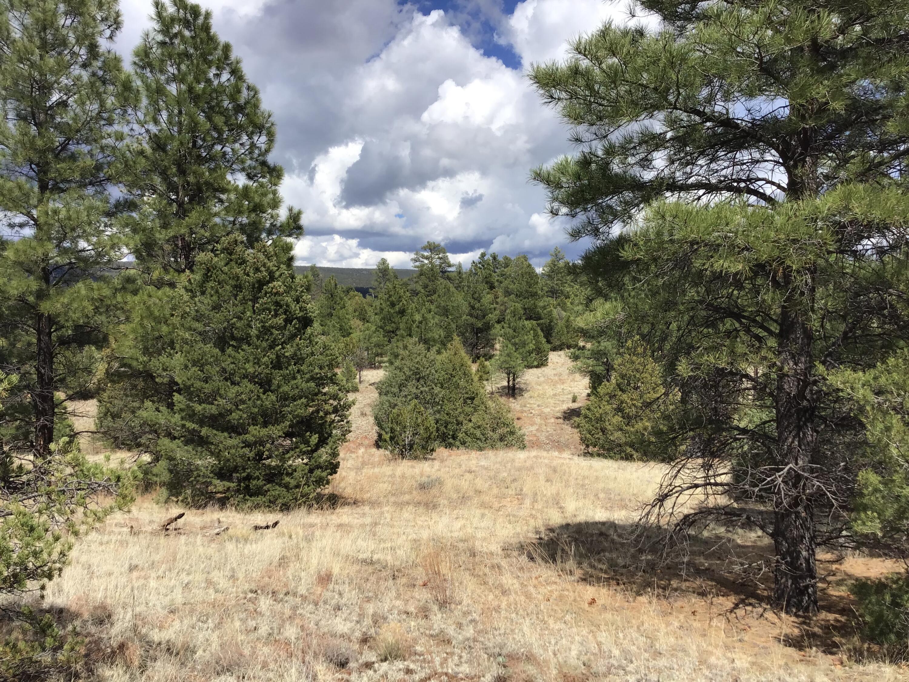 Lot 28 Monte Vista Lane, Ramah, New Mexico image 19